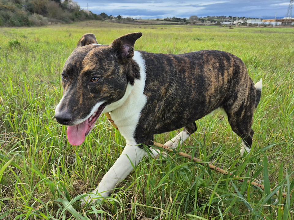 646024794_1337242428429462_2522892300262445362_n