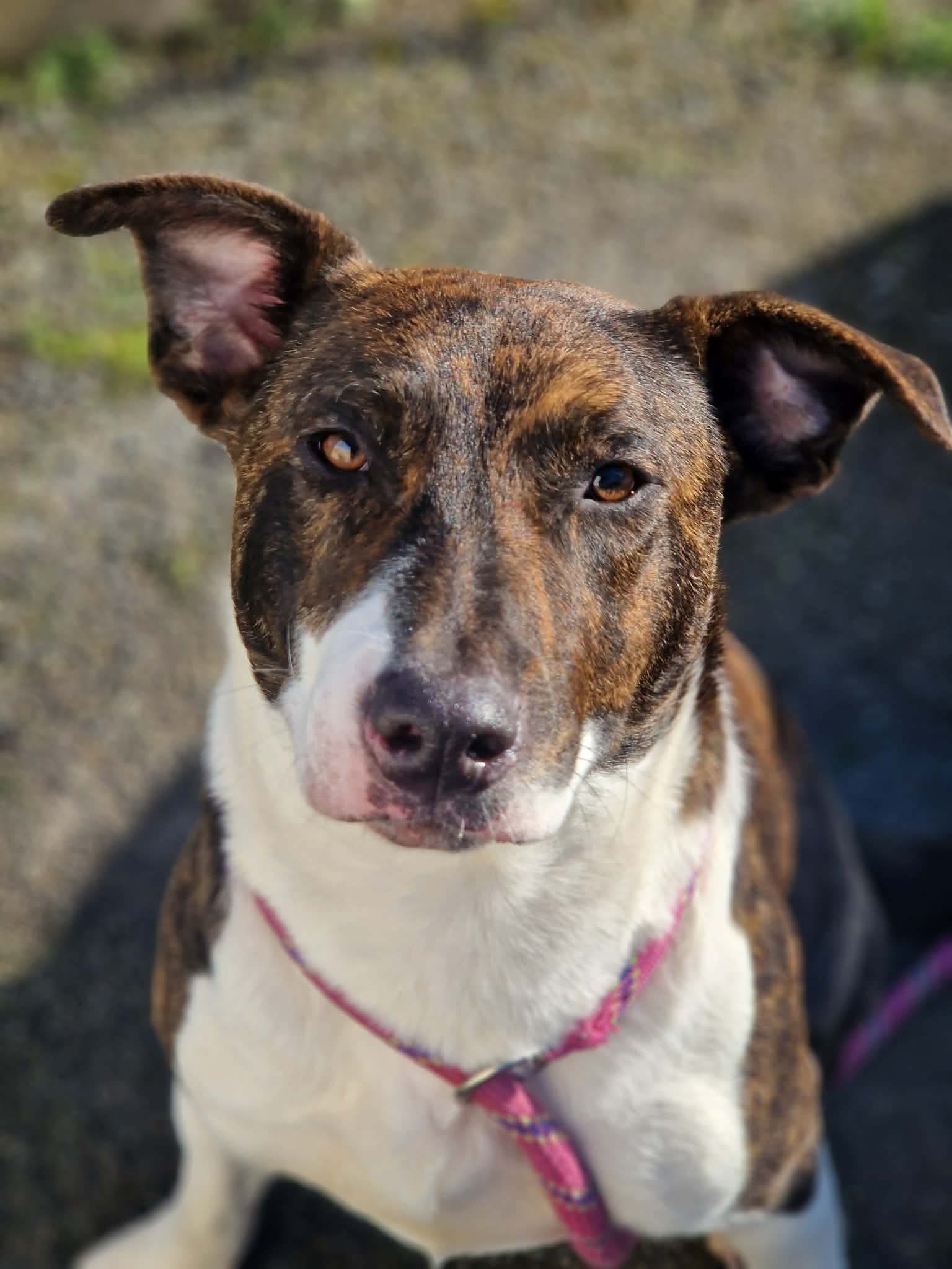 Lire la suite à propos de l’article Louna