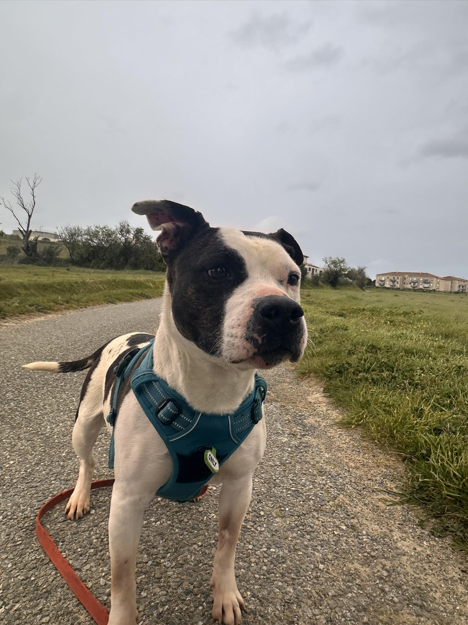 647227119_946992357815087_6088221916413219079_n