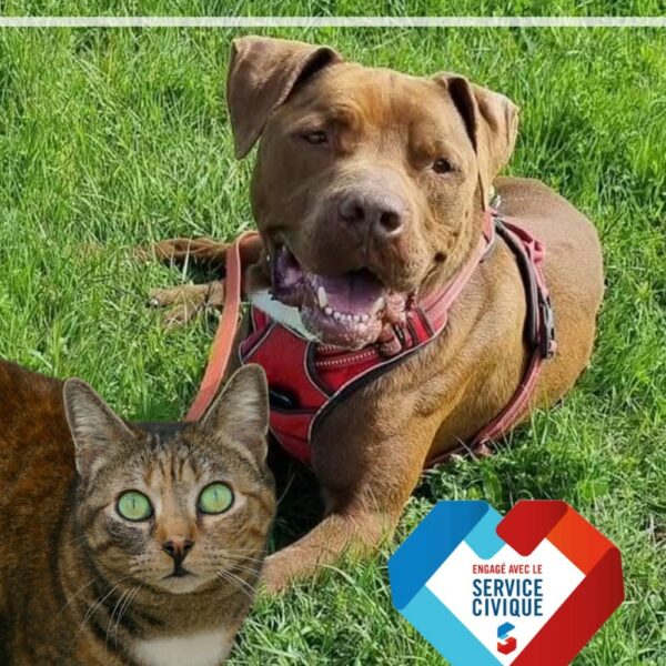 Rejoignez-nous : 2 Services Civiques SCPA