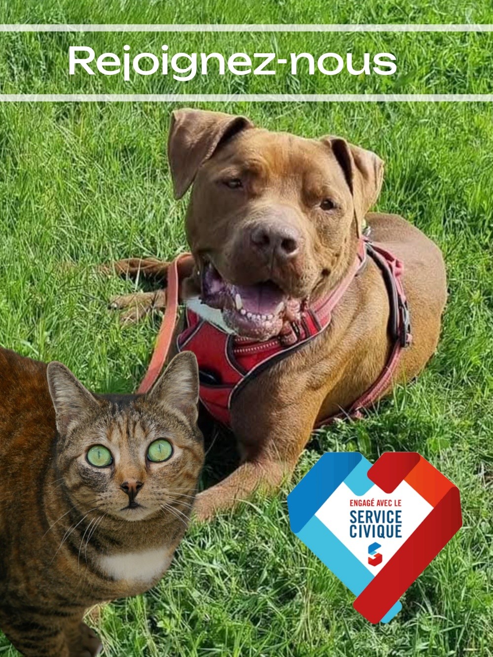 650916147_122180146484764950_994173977059816037_n