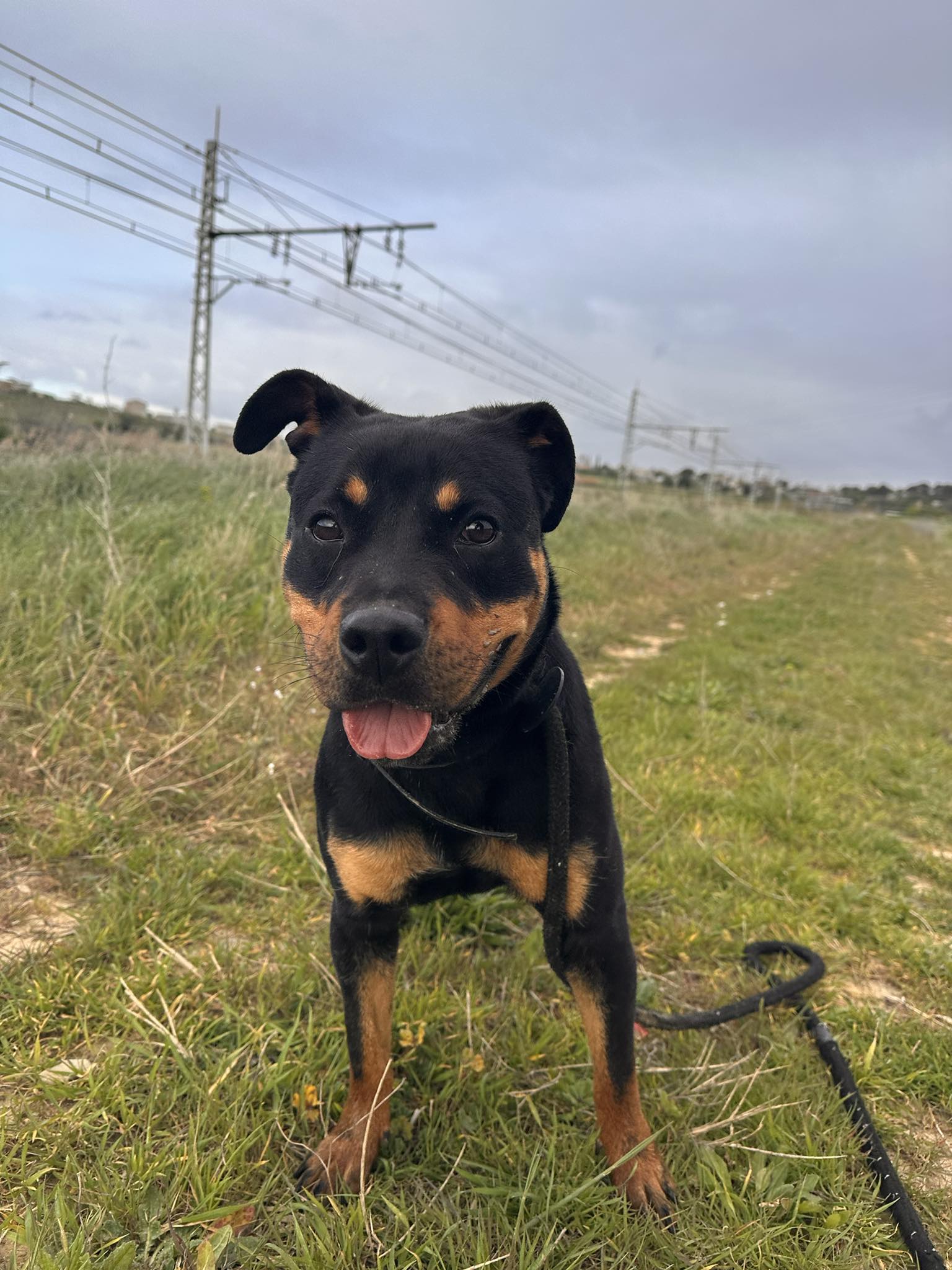 655000374_1573554147049538_4644011363037264591_n