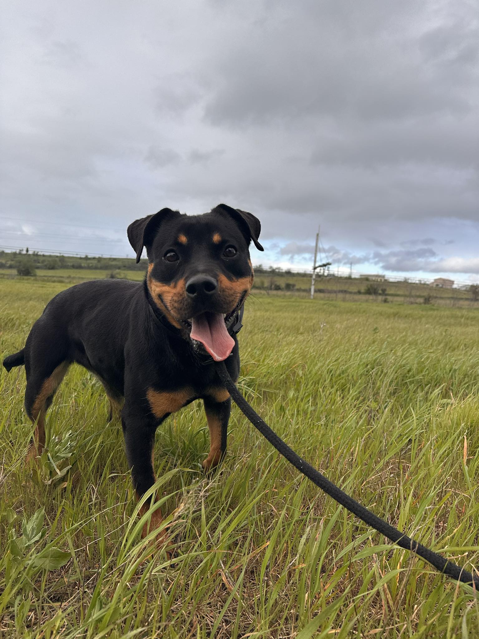 655019362_2437901979988423_8587149637769045353_n