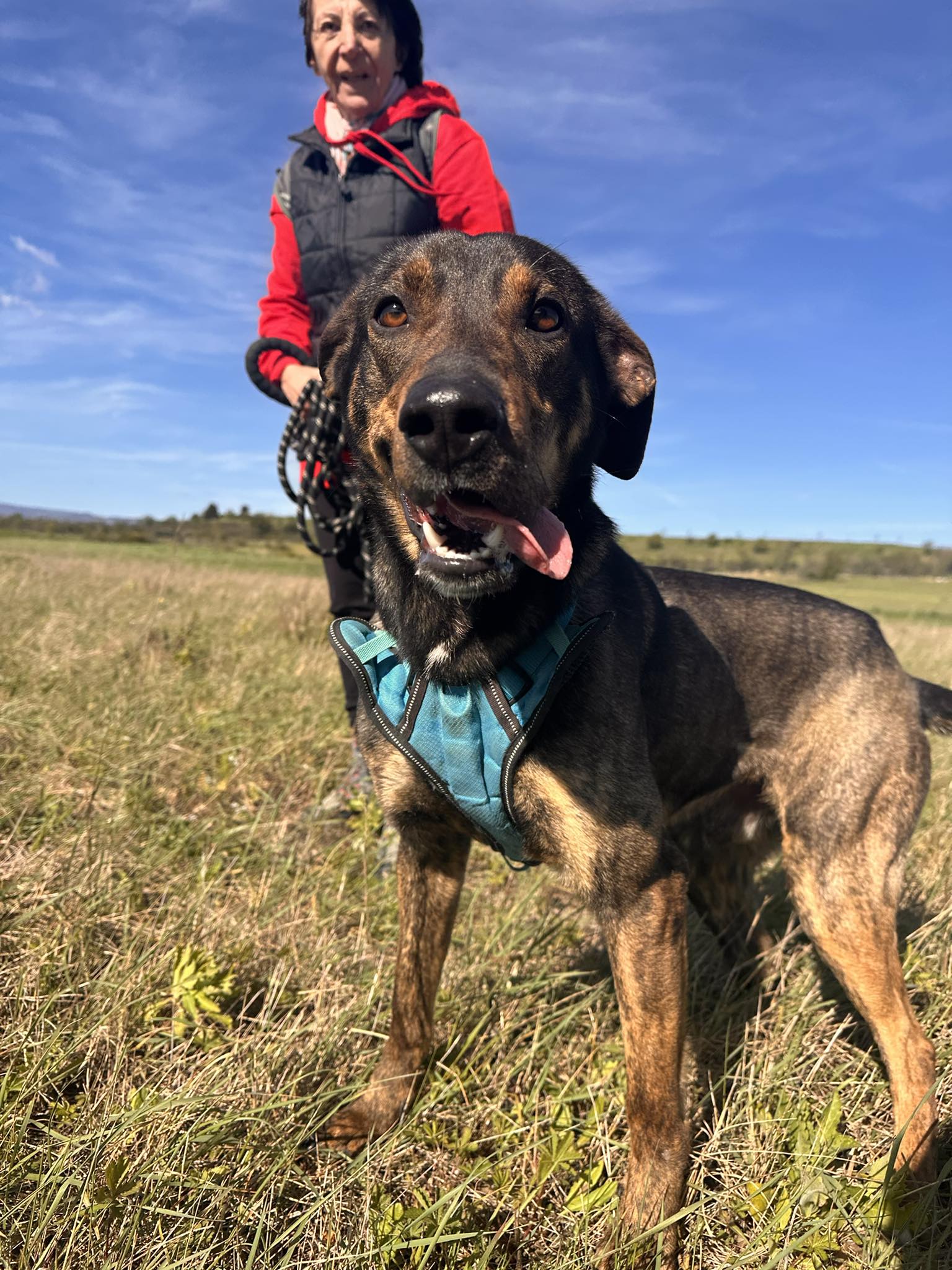 656209576_938718665679281_7518099635373798953_n