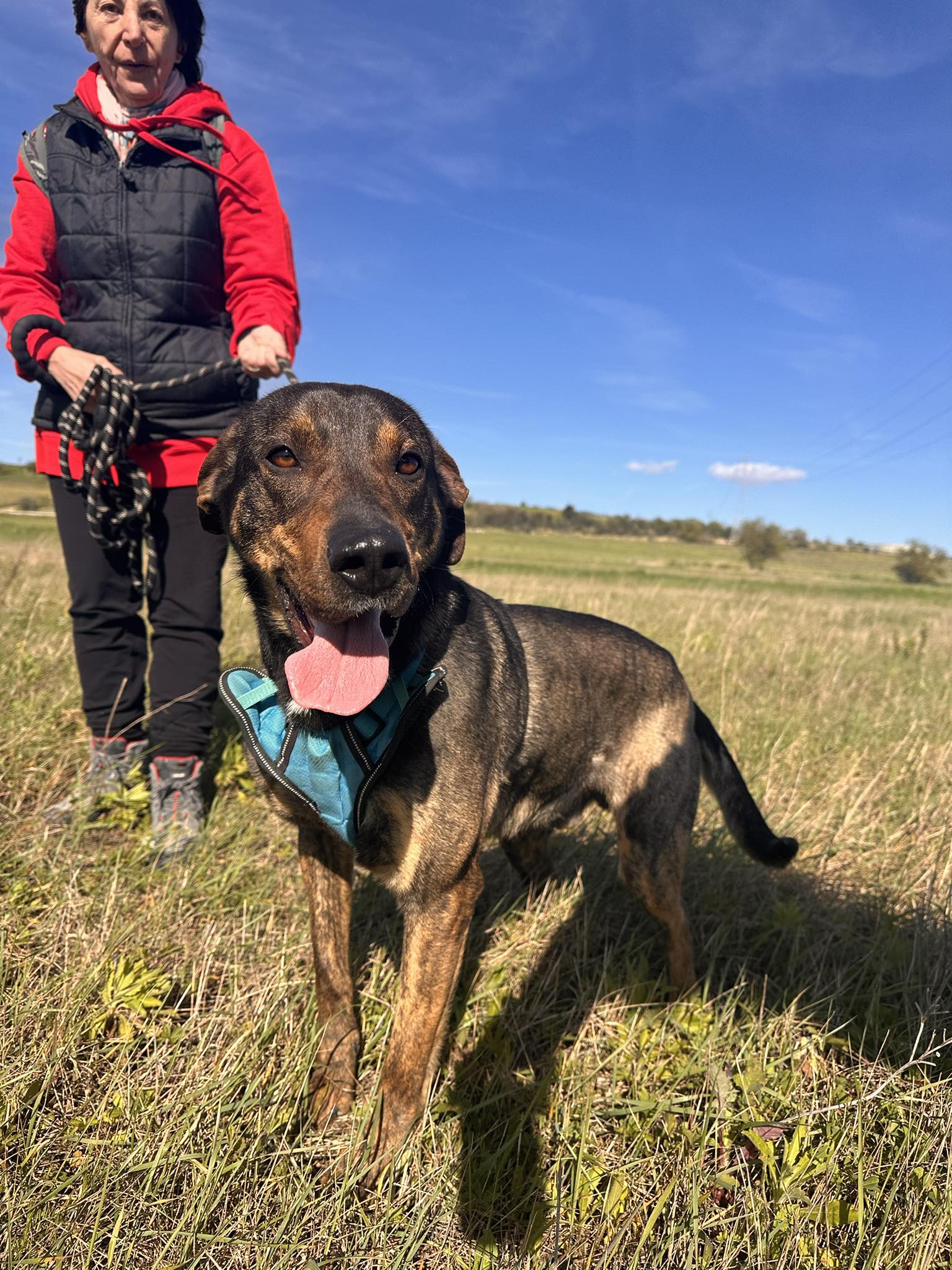 657196108_944862804591833_3825237993434239209_n