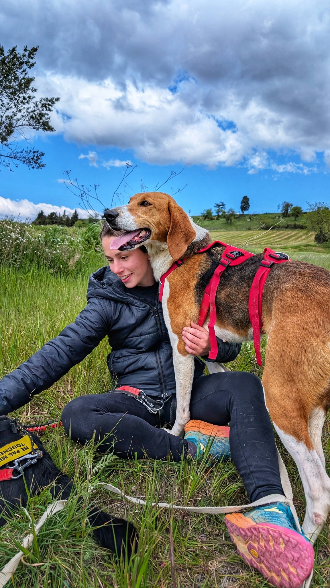 Lire la suite à propos de l’article Héloïse