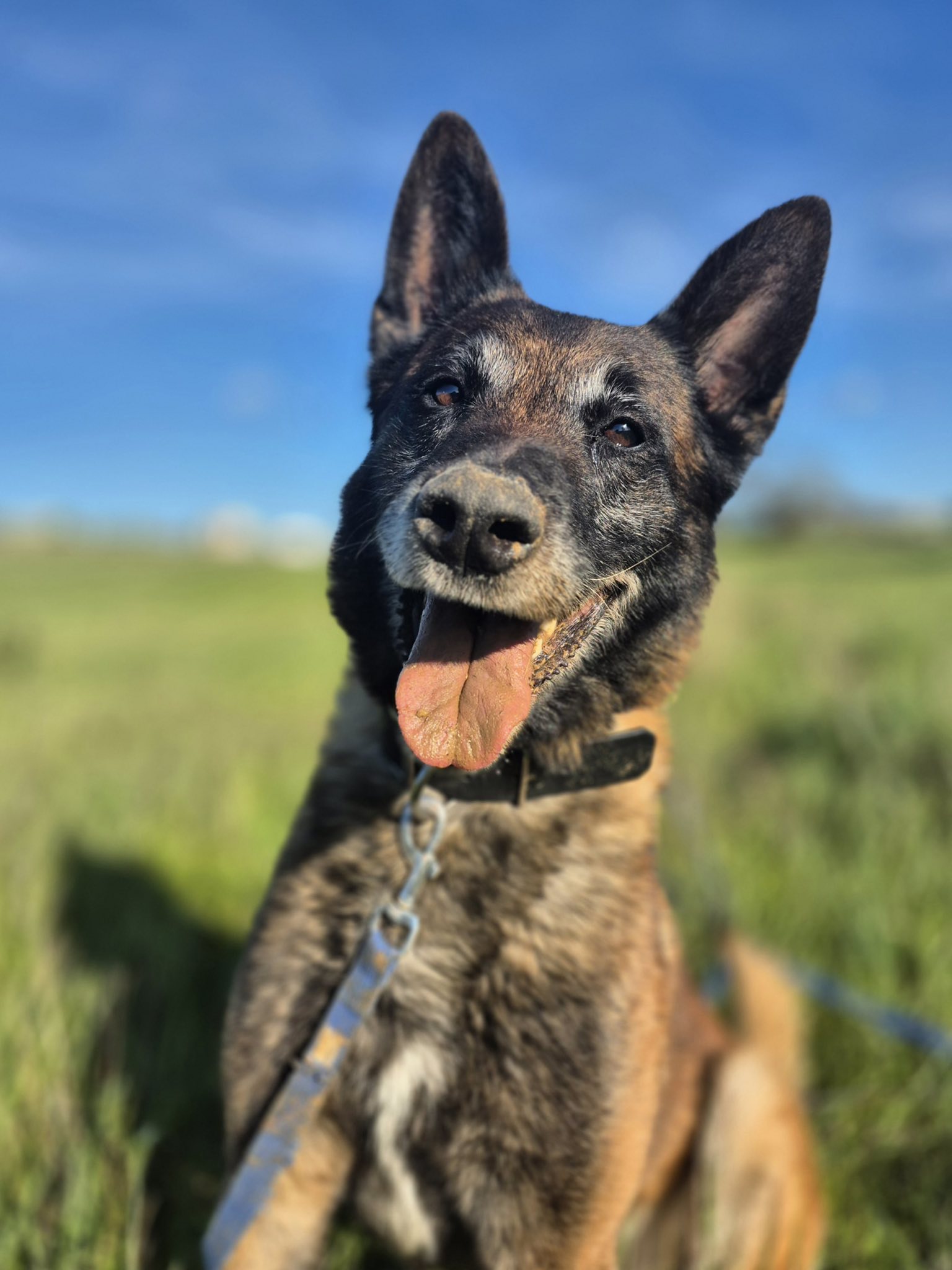 658828692_1358177986335906_8084127822498723890_n