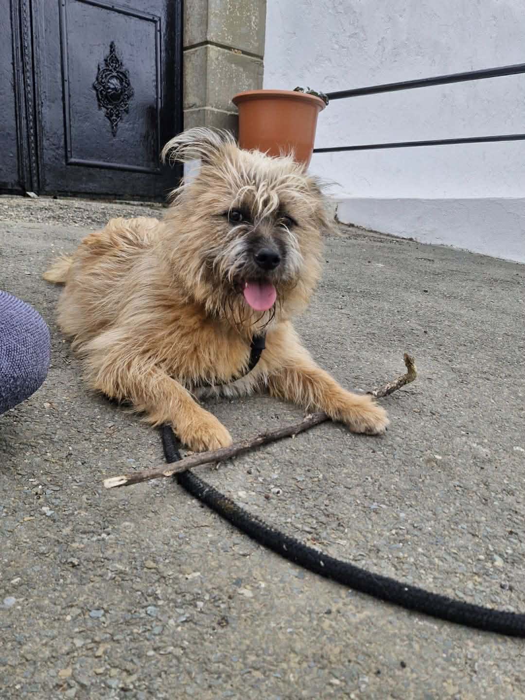 658958129_1358377159649322_2159298886909106302_n