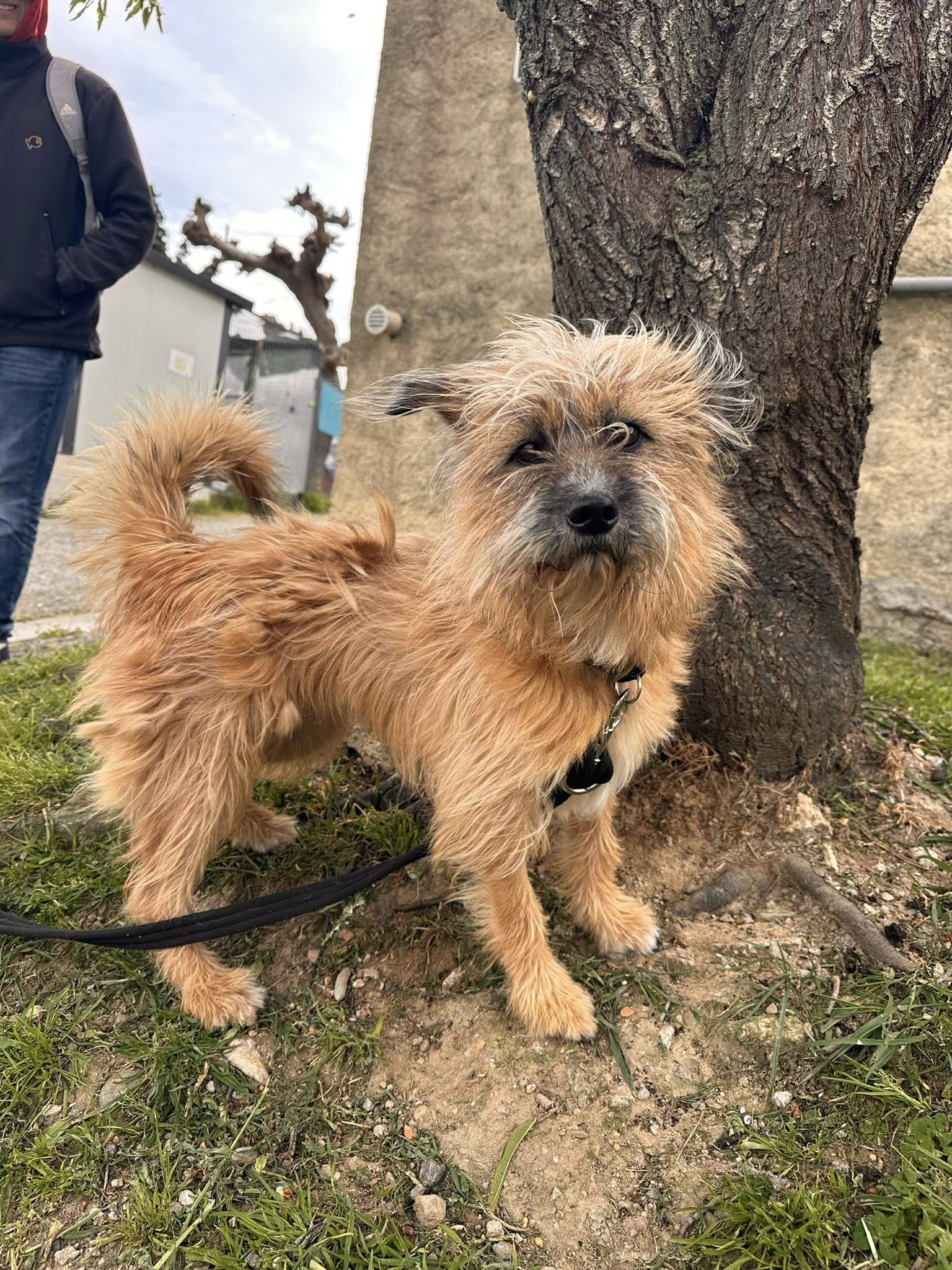 659706719_1358377176315987_5749580648562079955_n