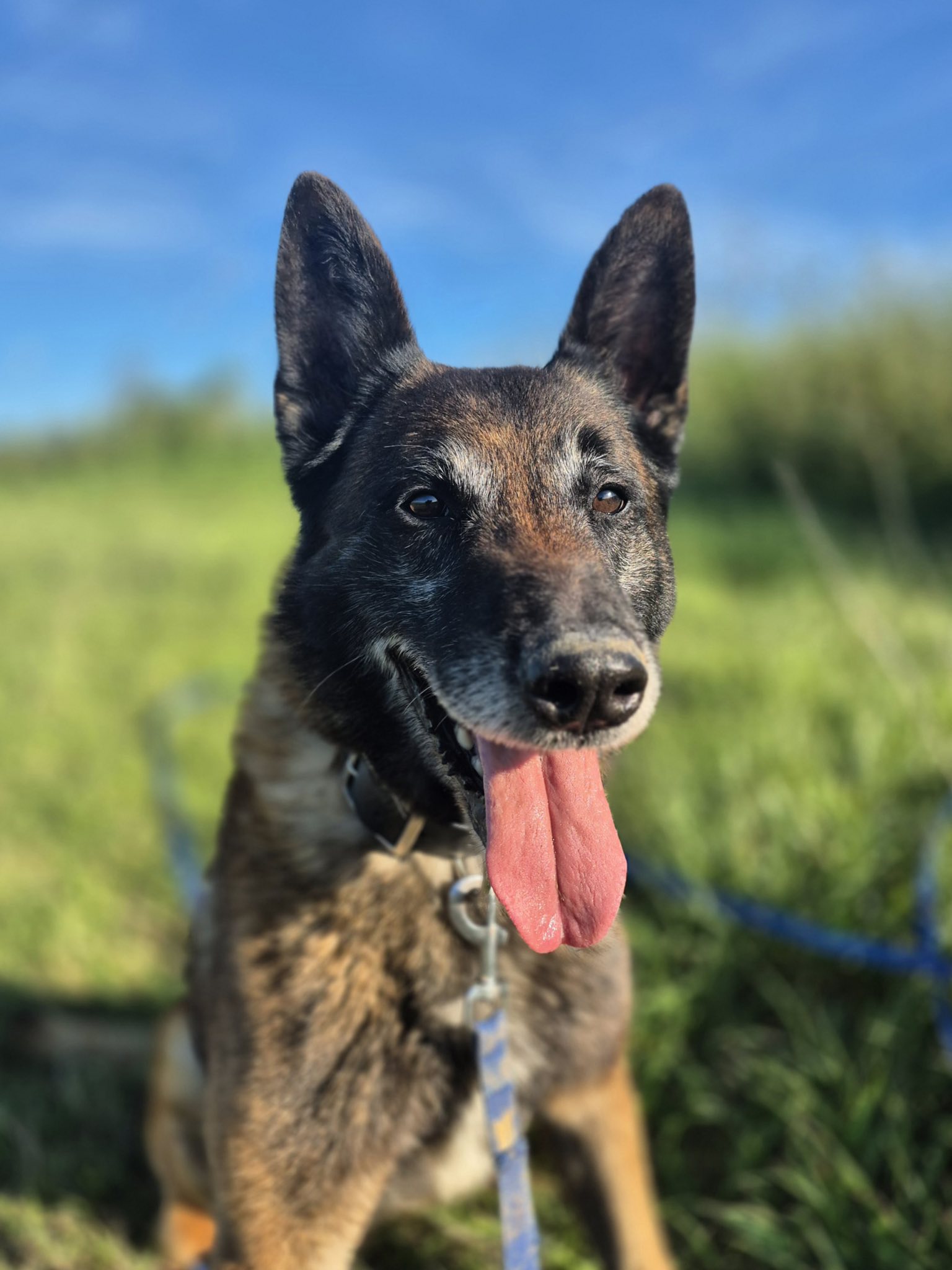 659784841_1358177936335911_2323890950503731189_n