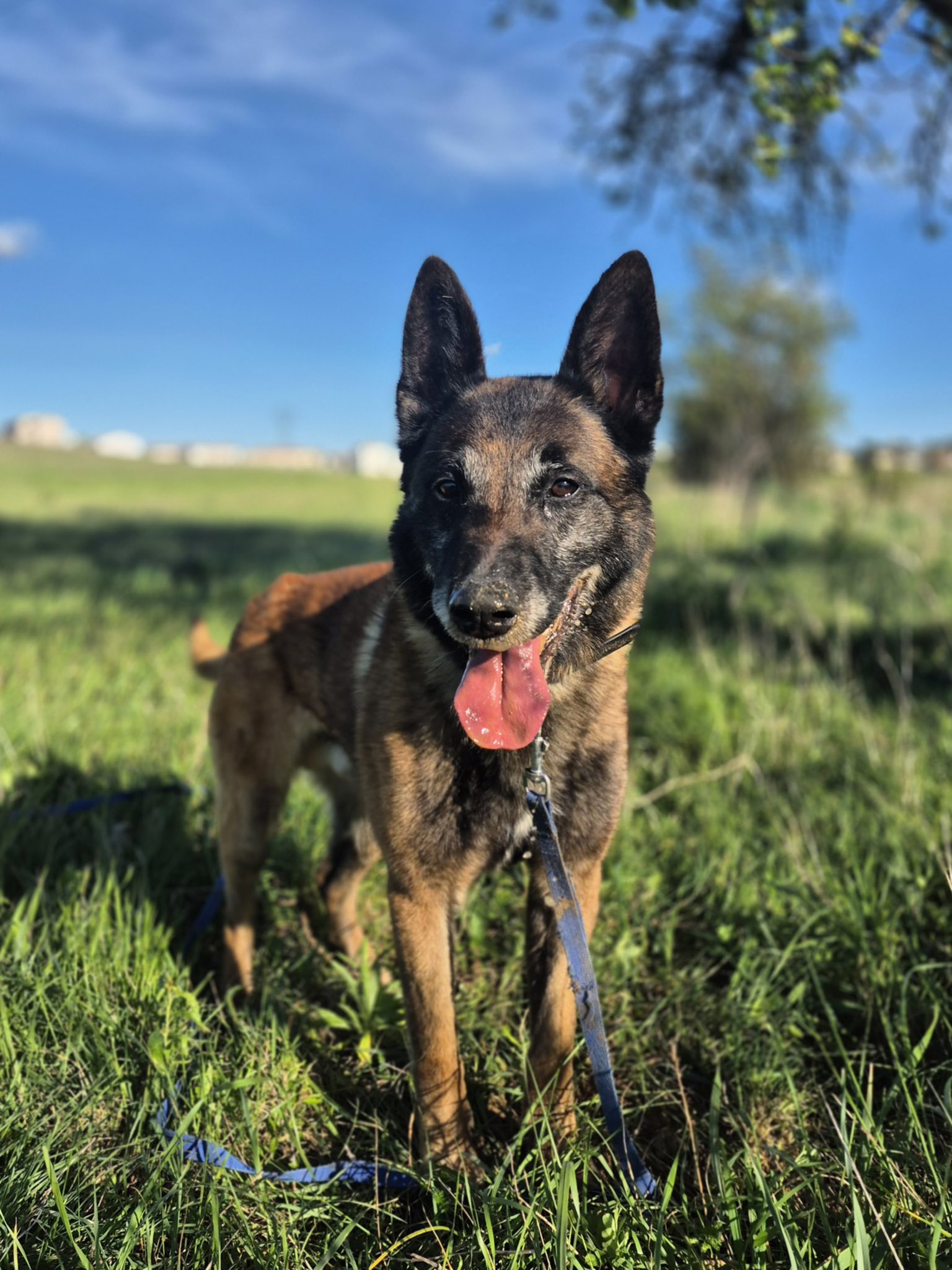 659793322_1358178023002569_528507677991955589_n