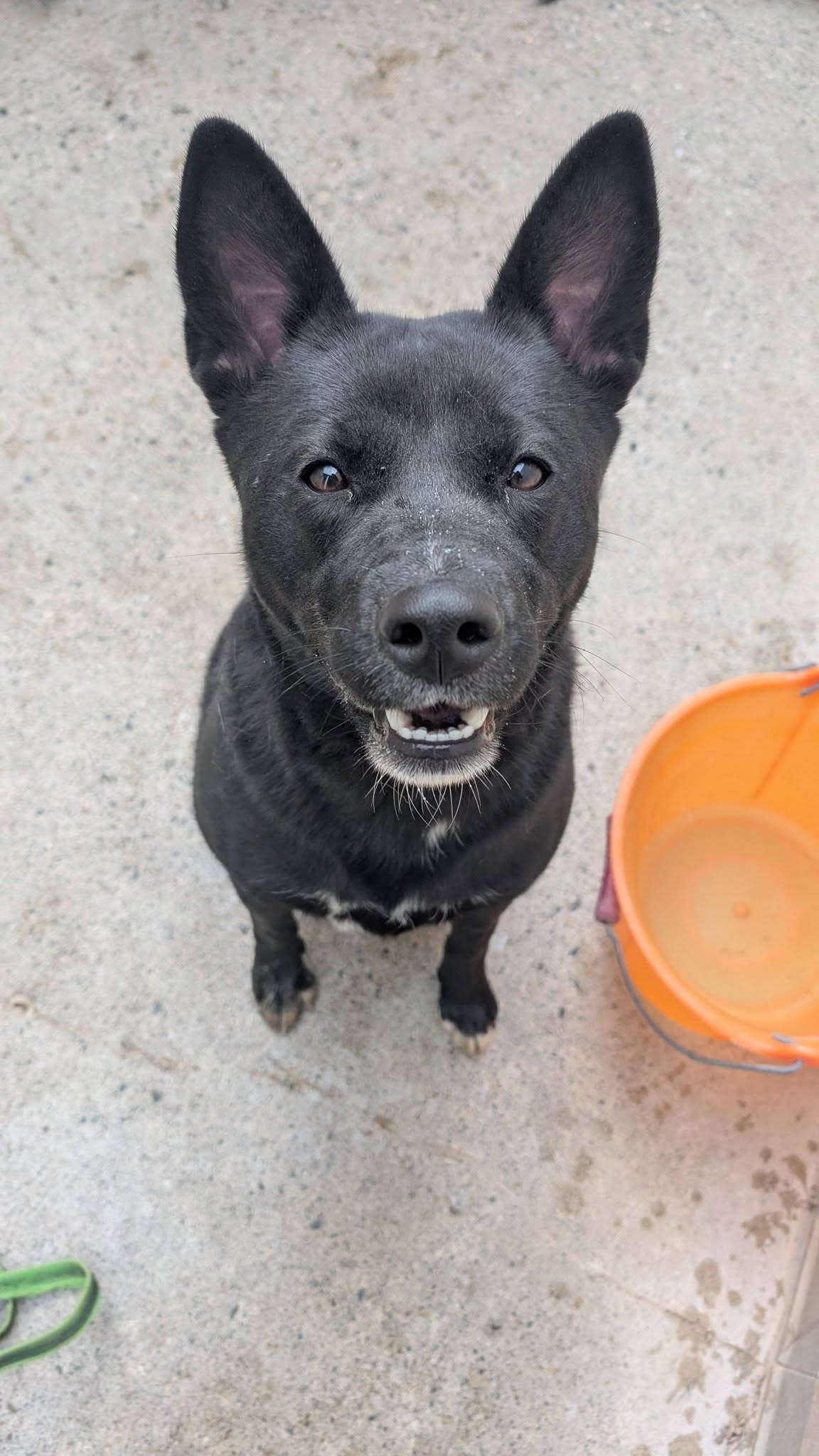 Lire la suite à propos de l’article Athéna