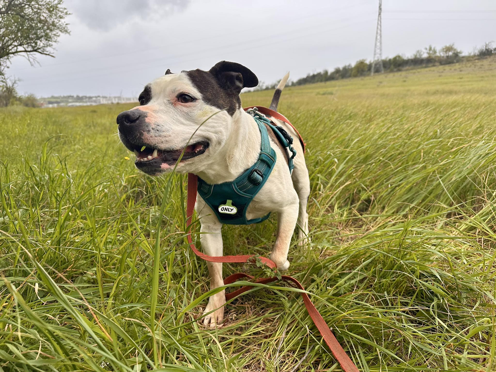 661598285_1336743918292609_4395506729390860288_n