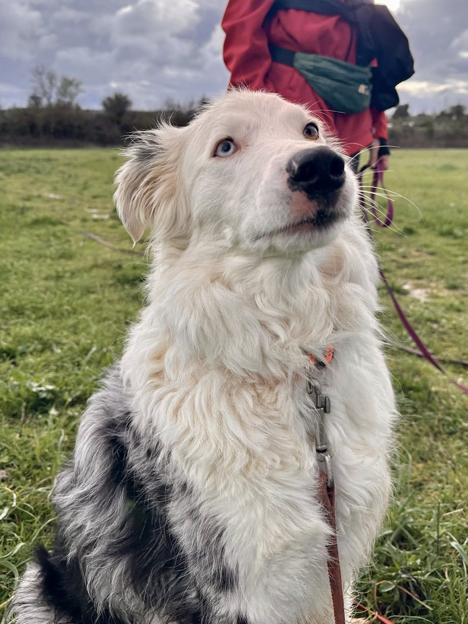 Lire la suite à propos de l’article Belle