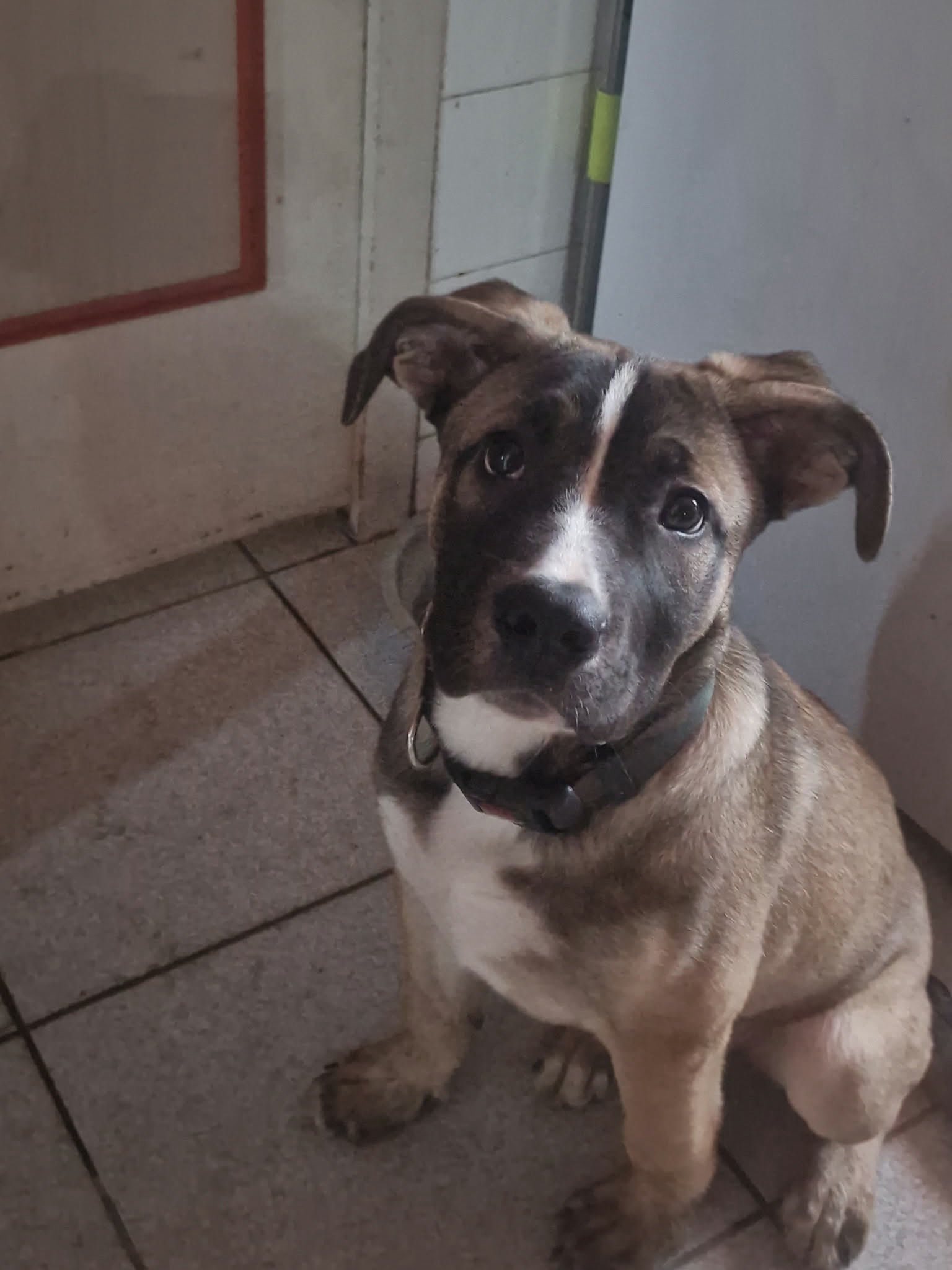 Lire la suite à propos de l’article Aya