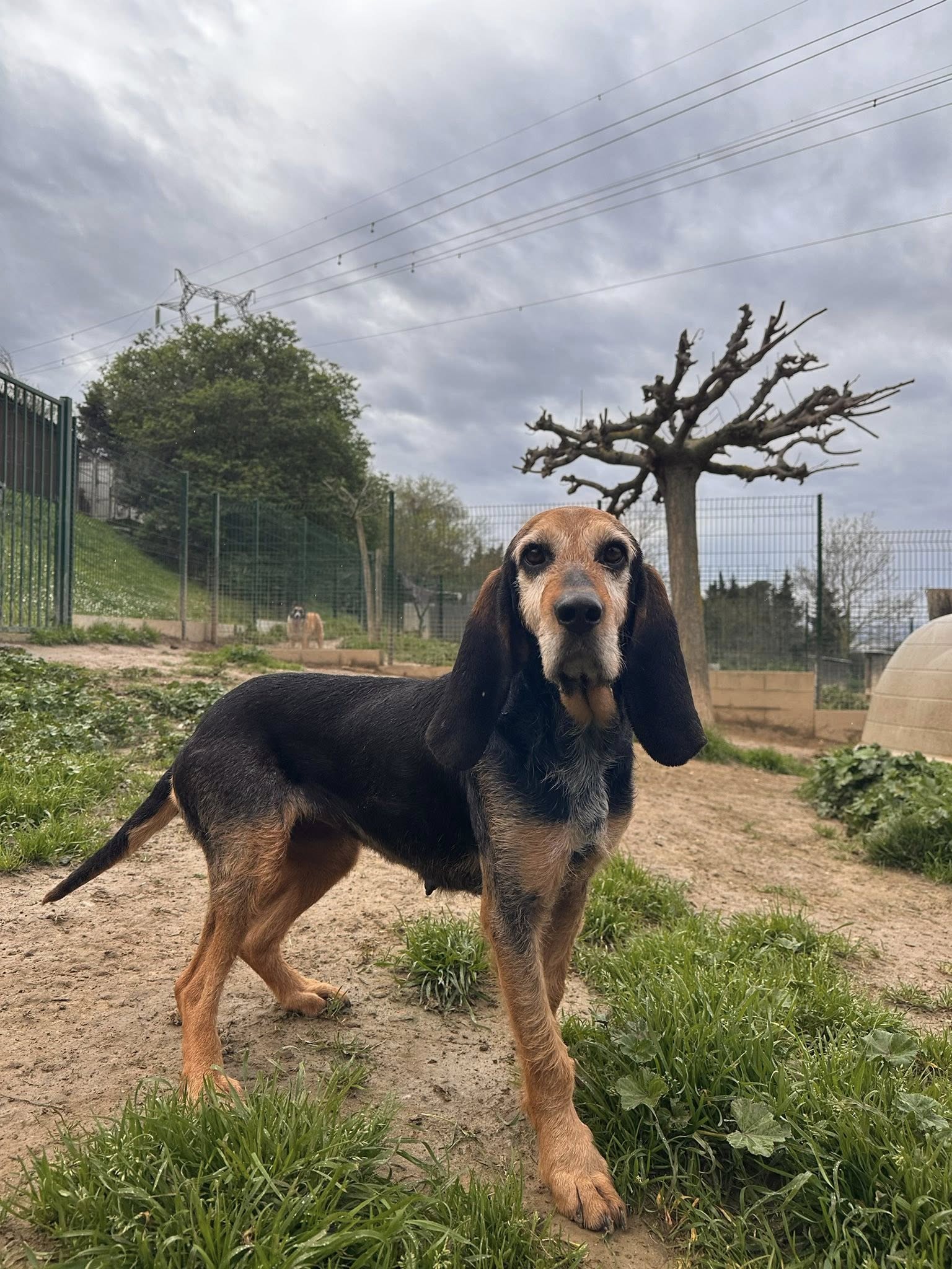 Lire la suite à propos de l’article Croquette