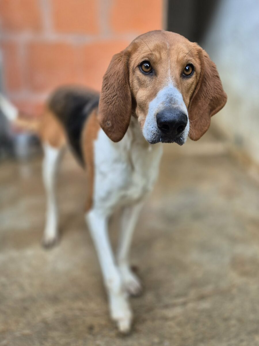 Lire la suite à propos de l’article Eloïse