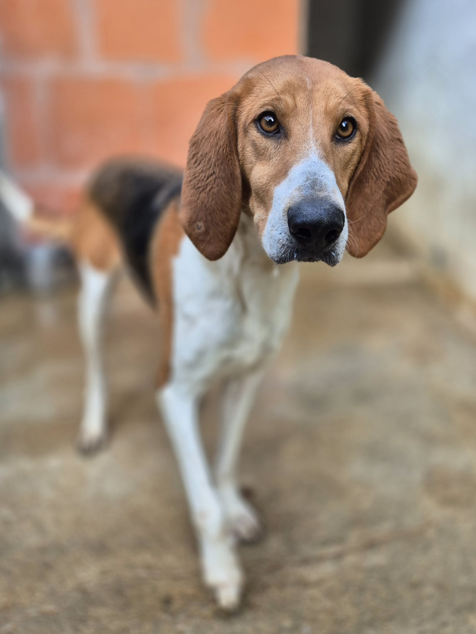 Lire la suite à propos de l’article Eloïse