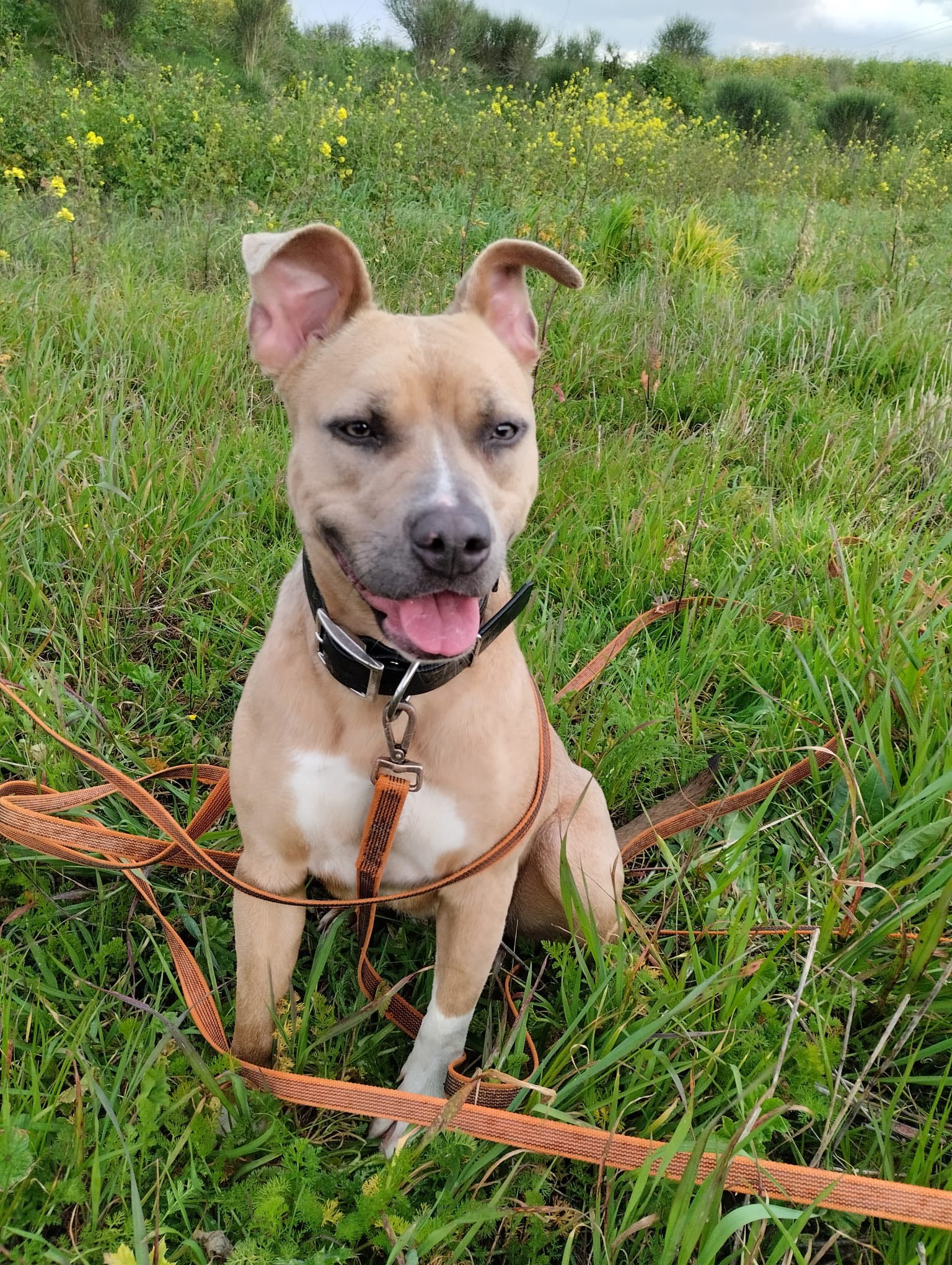 Lire la suite à propos de l’article Iska