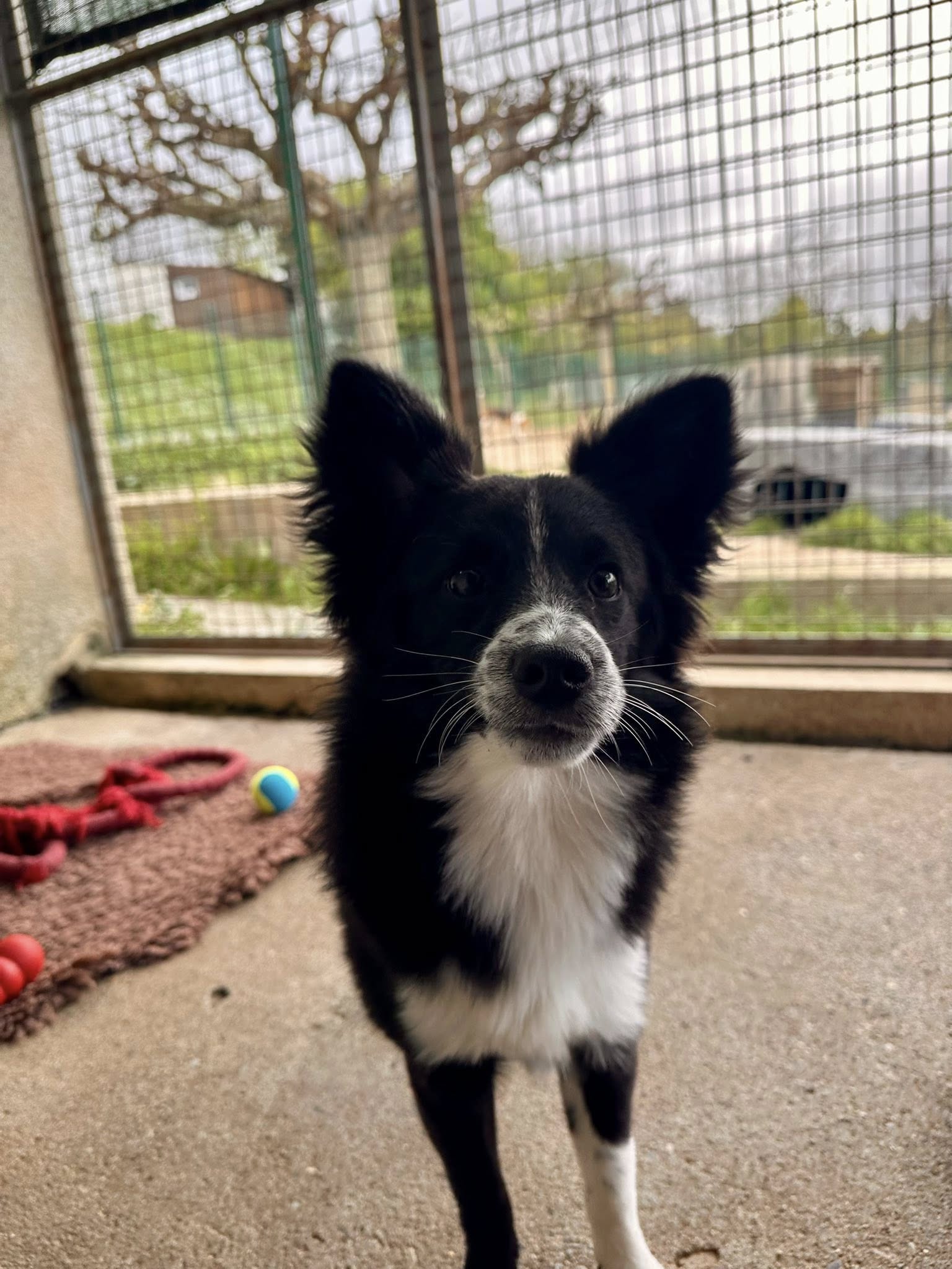 Lire la suite à propos de l’article Milo