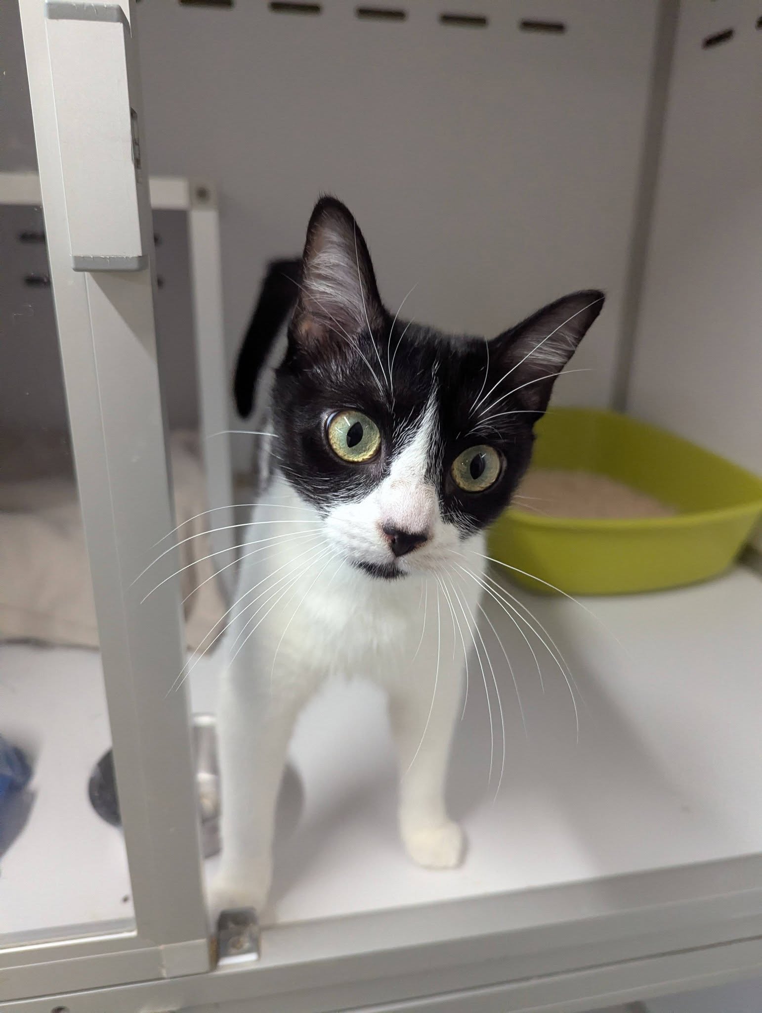 Lire la suite à propos de l’article Ruby