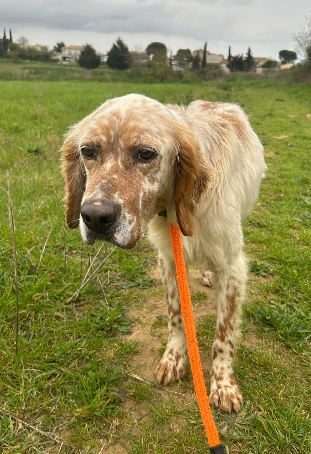 Lire la suite à propos de l’article Tempo