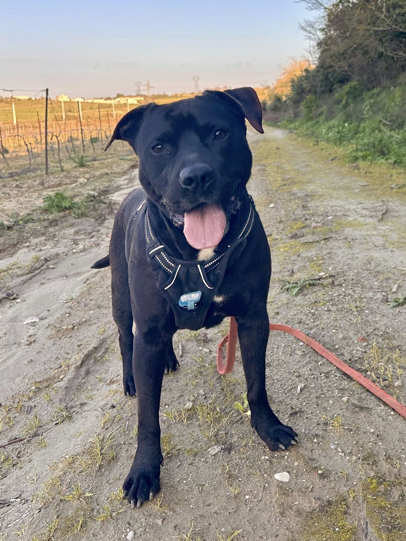 Lire la suite à propos de l’article Zion