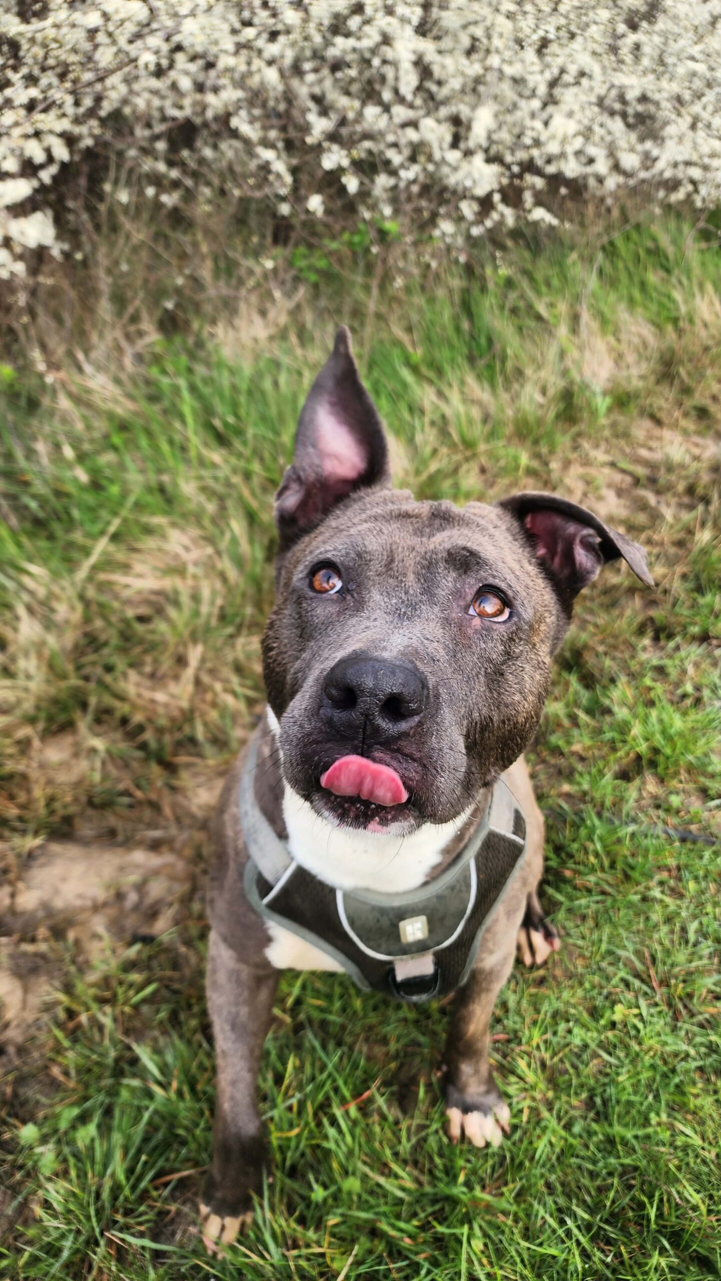 a6c1af0c-707a-49fe-ad2e-94f6b233ffdc