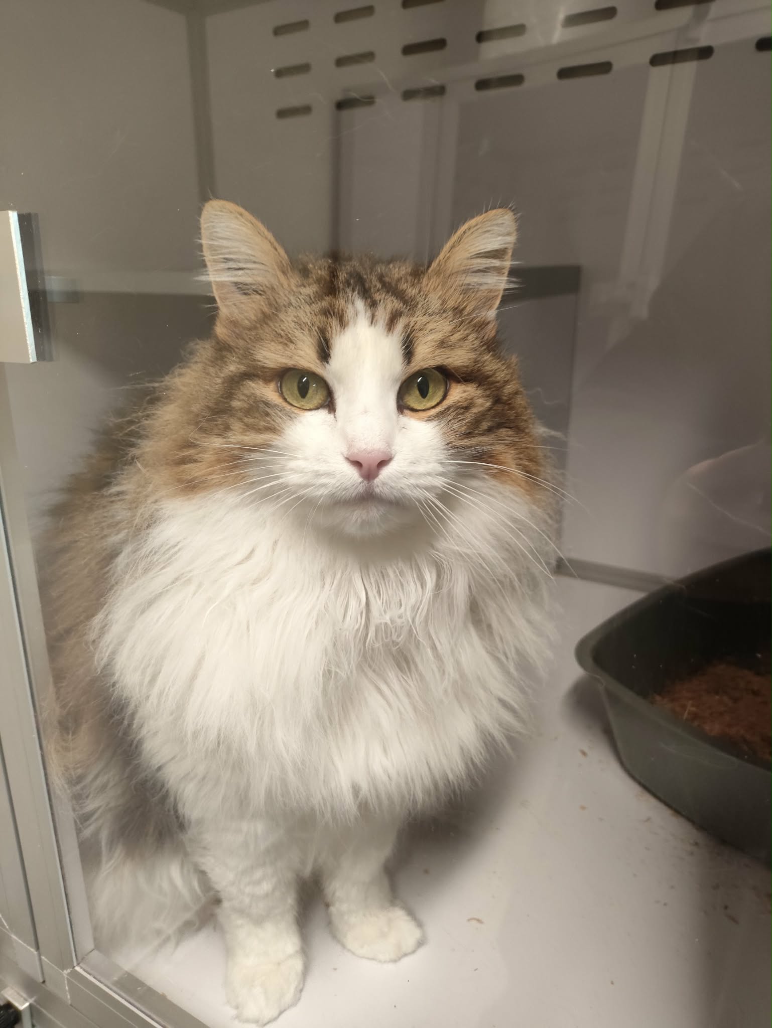 Lire la suite à propos de l’article Echo