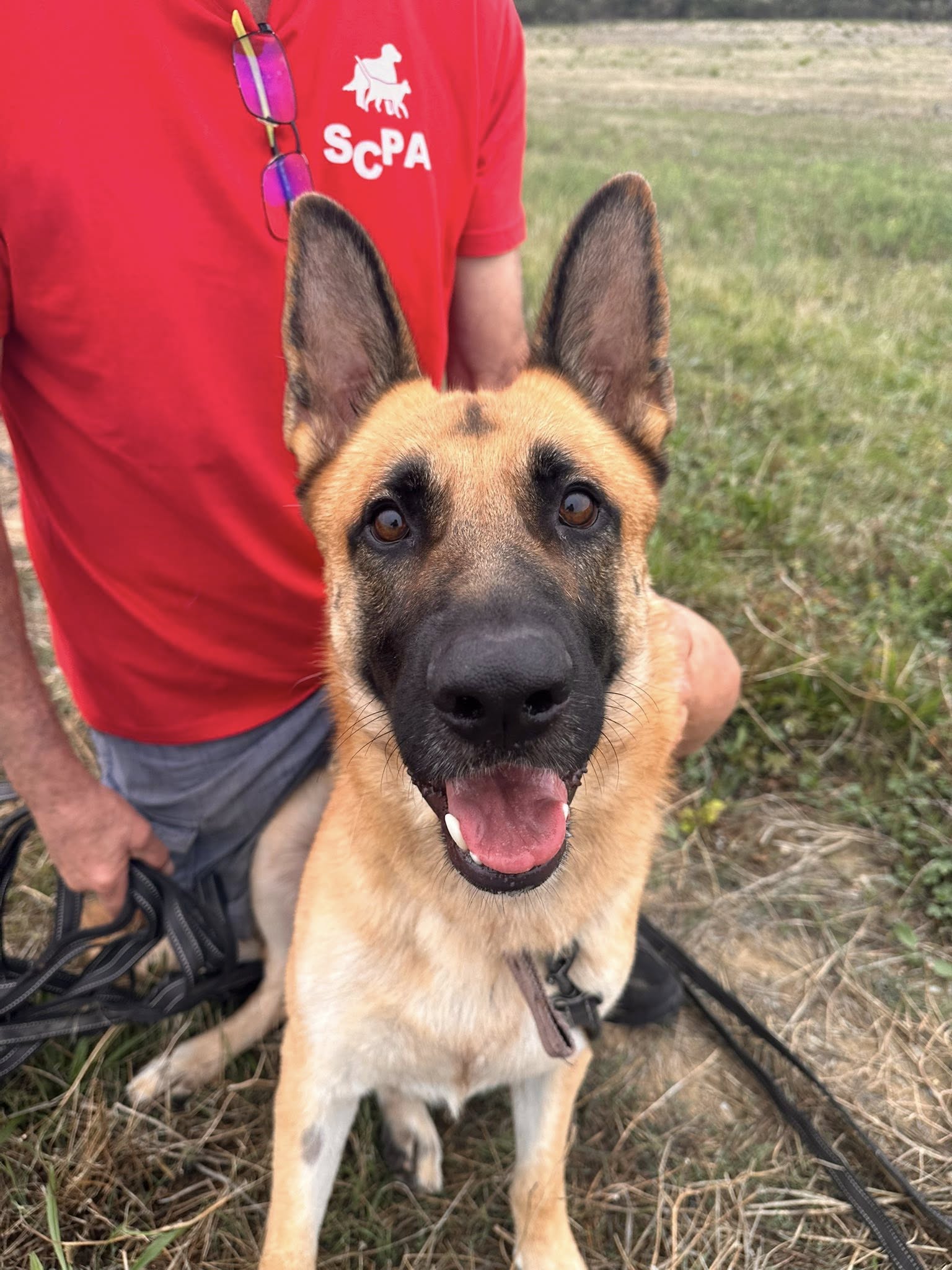 Lire la suite à propos de l’article Texas