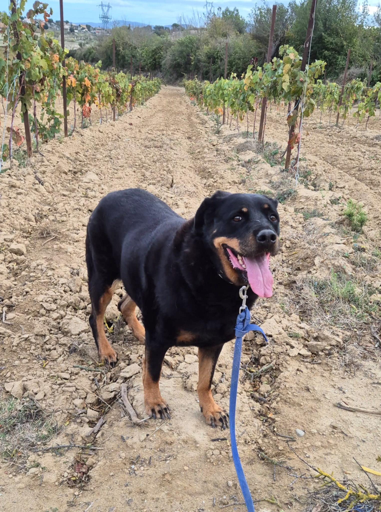 574604570_1242031431283896_2633297330554263882_n