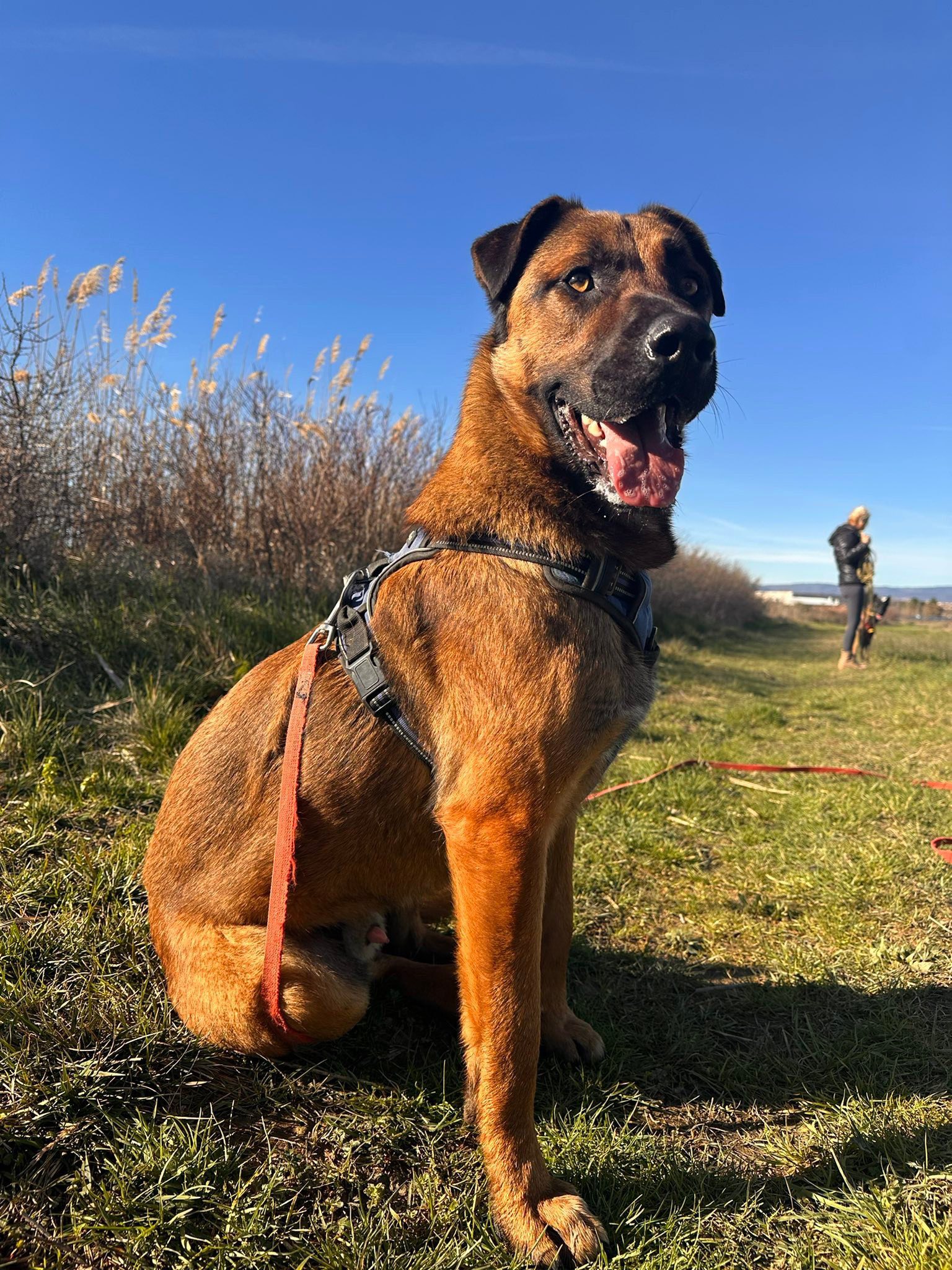 Lire la suite à propos de l’article Hades