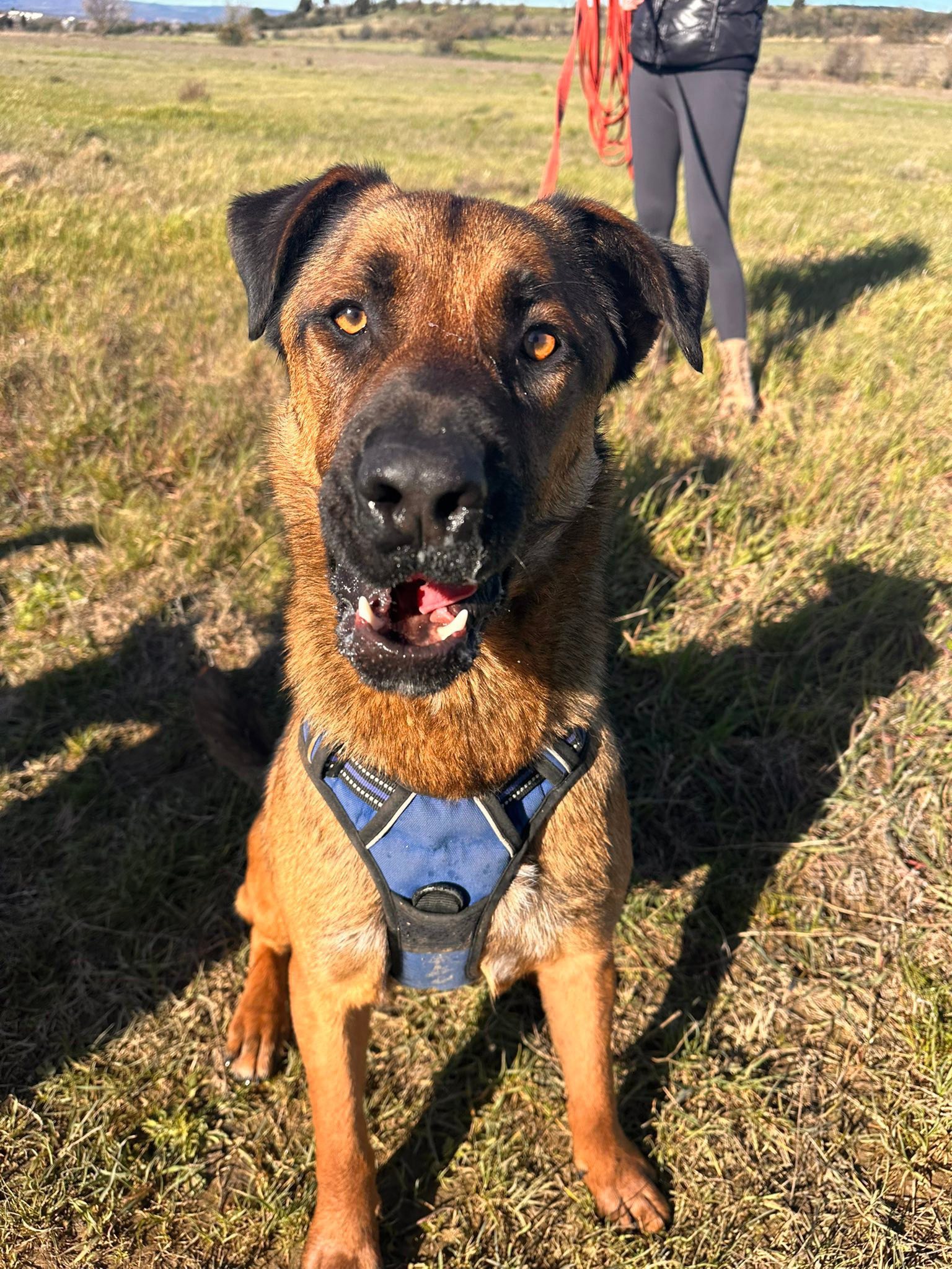 661282775_10213561519387738_214891860589107368_n