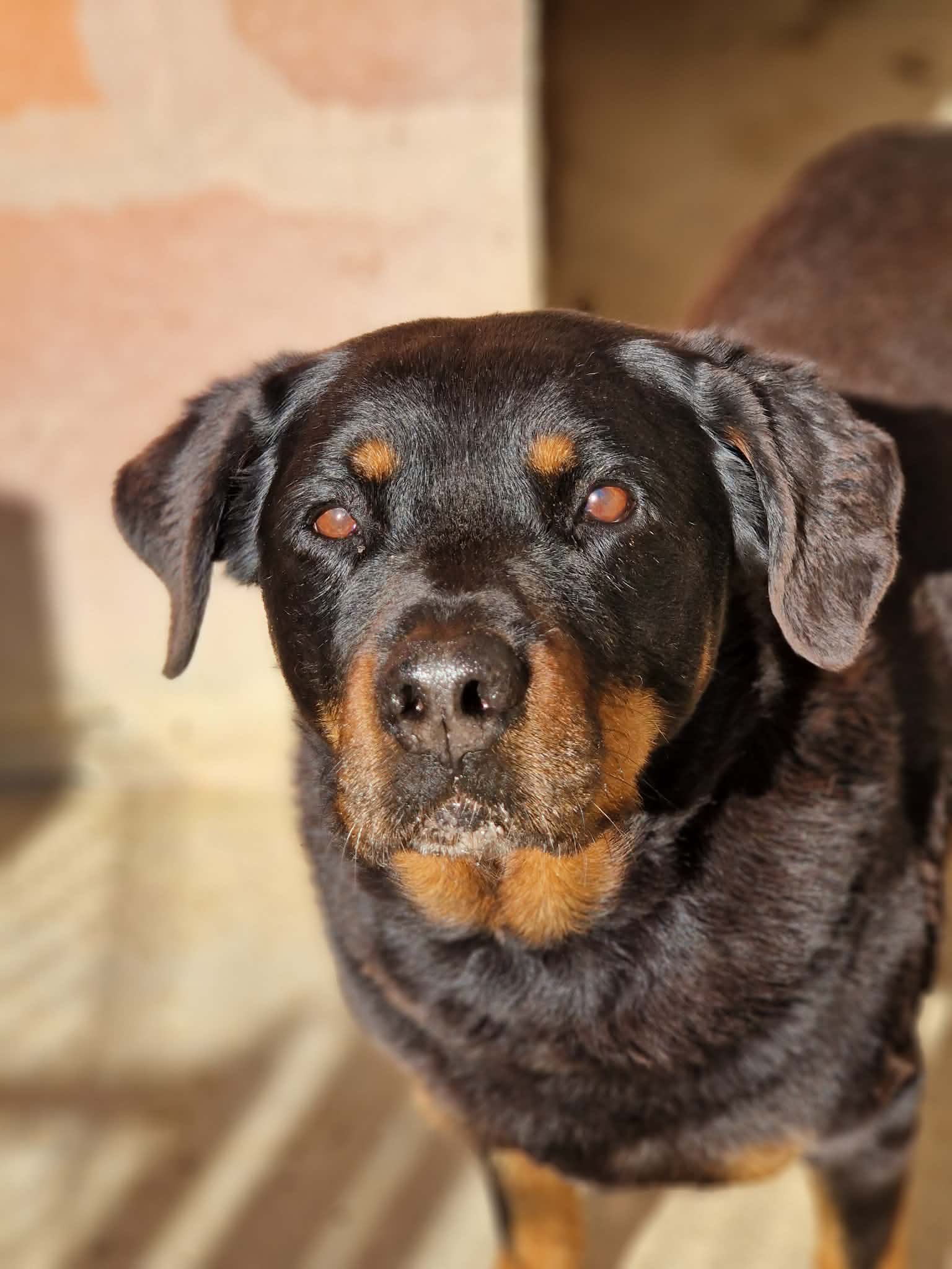 668138083_1365473988939639_7451002977599195938_n