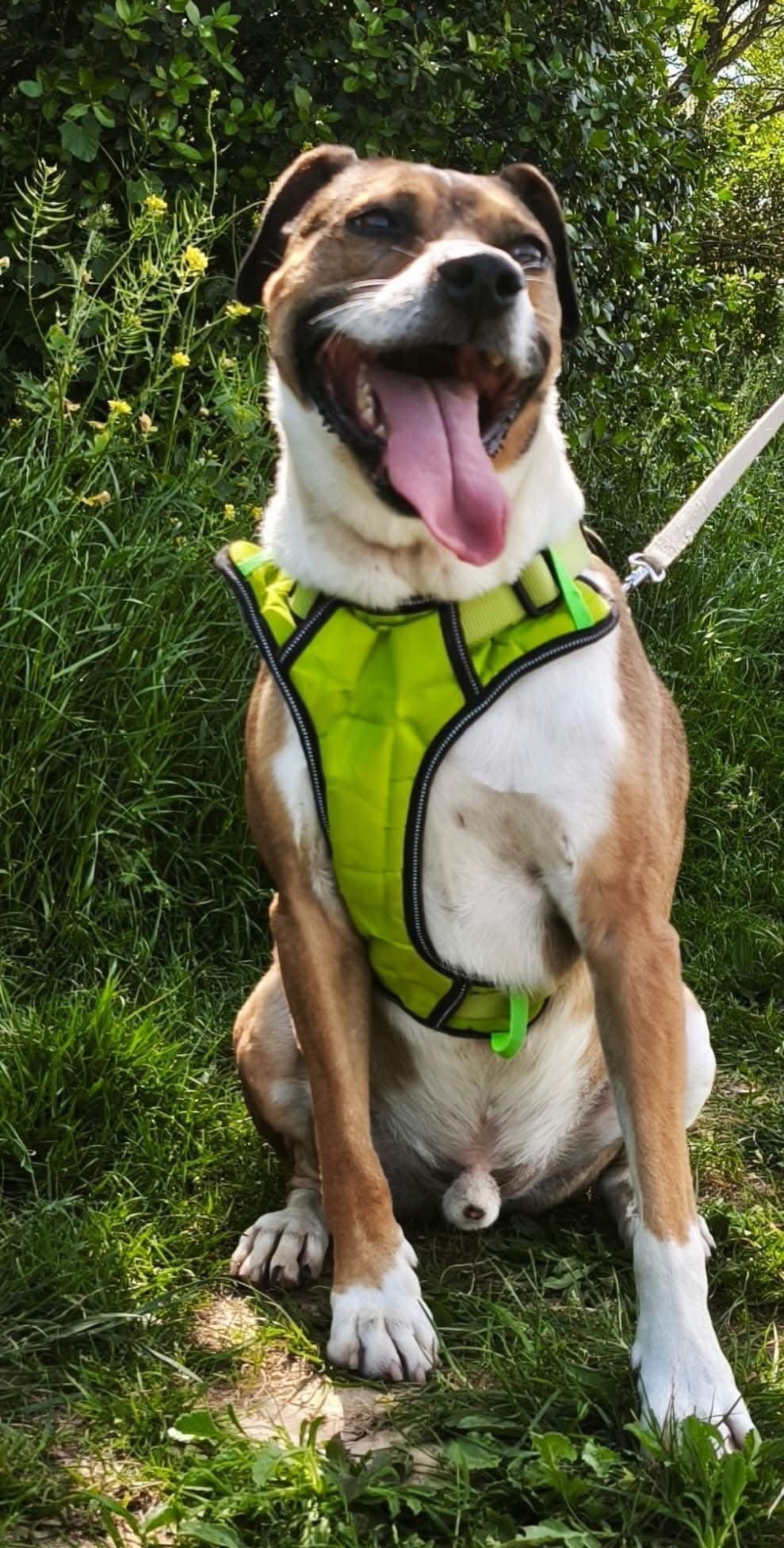 680514275_1382376707249367_2832246203629995274_n