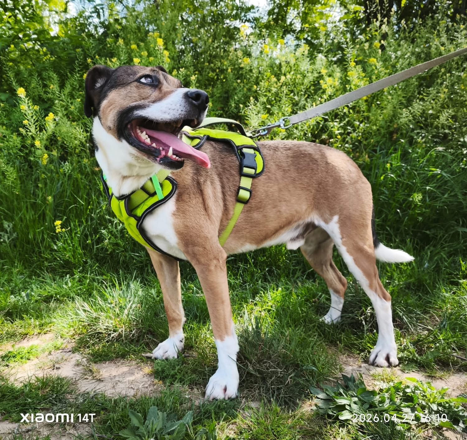 681232589_1382376743916030_1549216779992507648_n