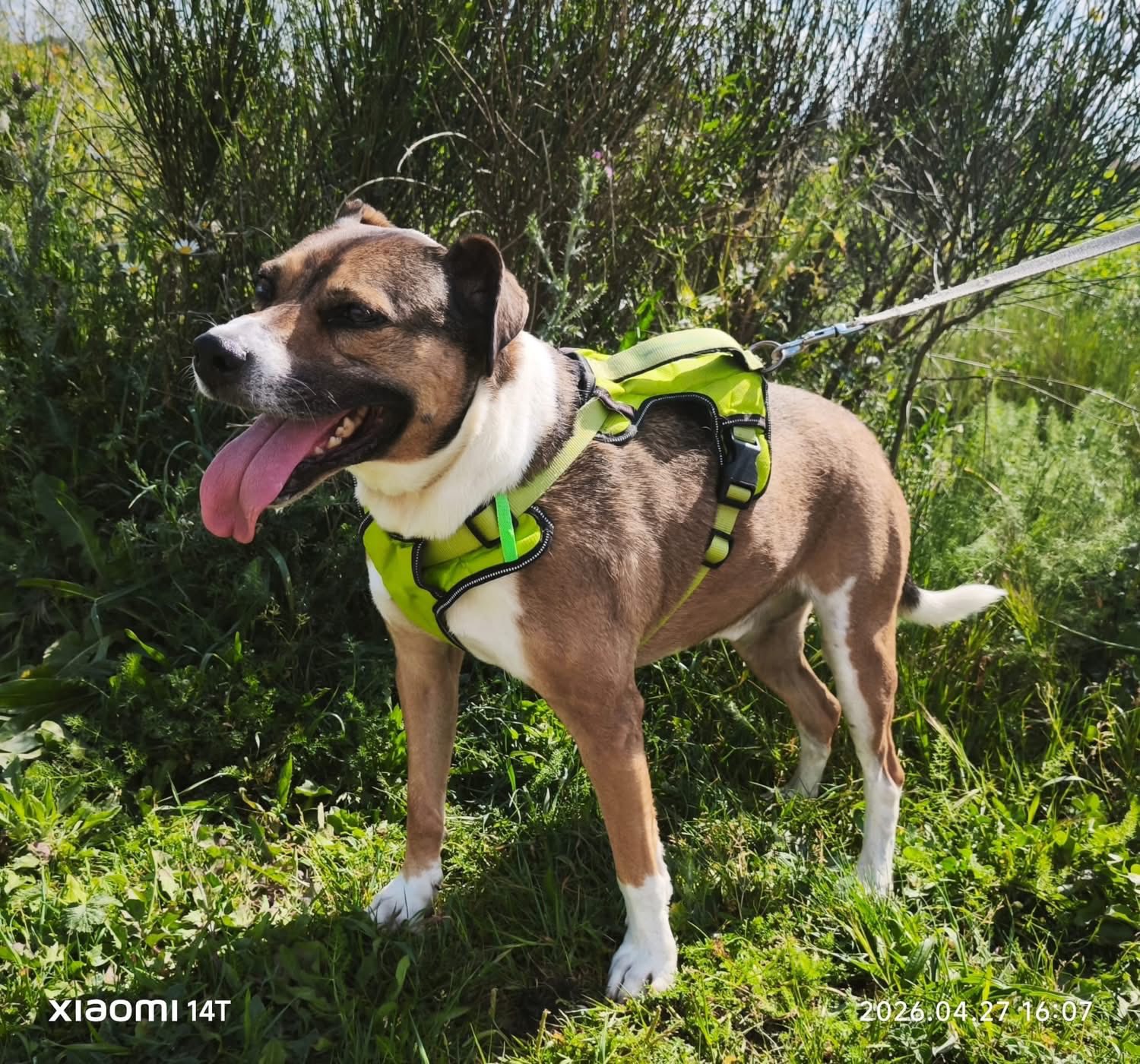 Lire la suite à propos de l’article Milka