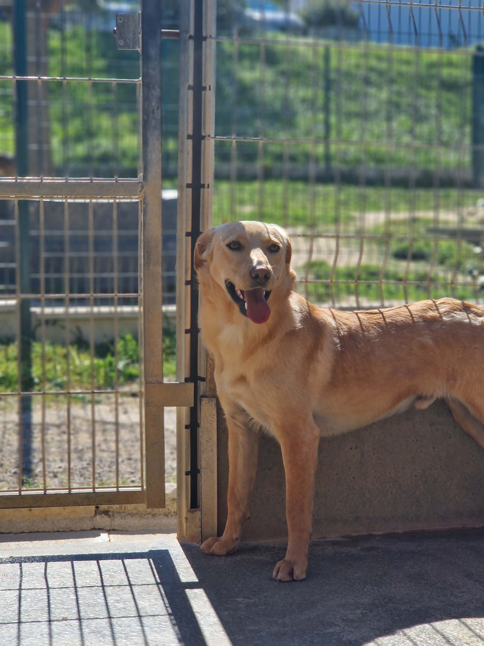 Lire la suite à propos de l’article Ymba