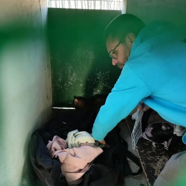 Abandons « sauvages » à la SCPA