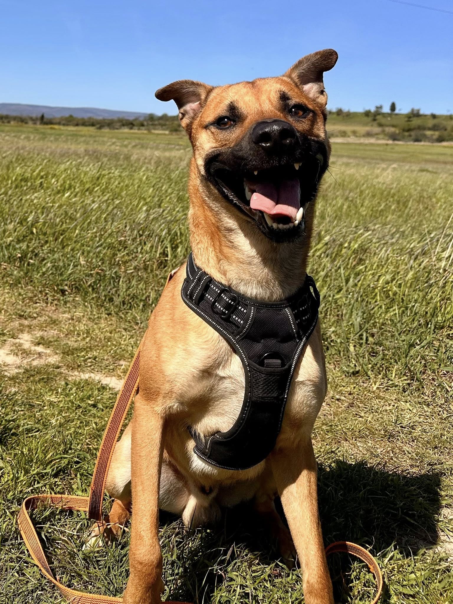 Lire la suite à propos de l’article Boyka