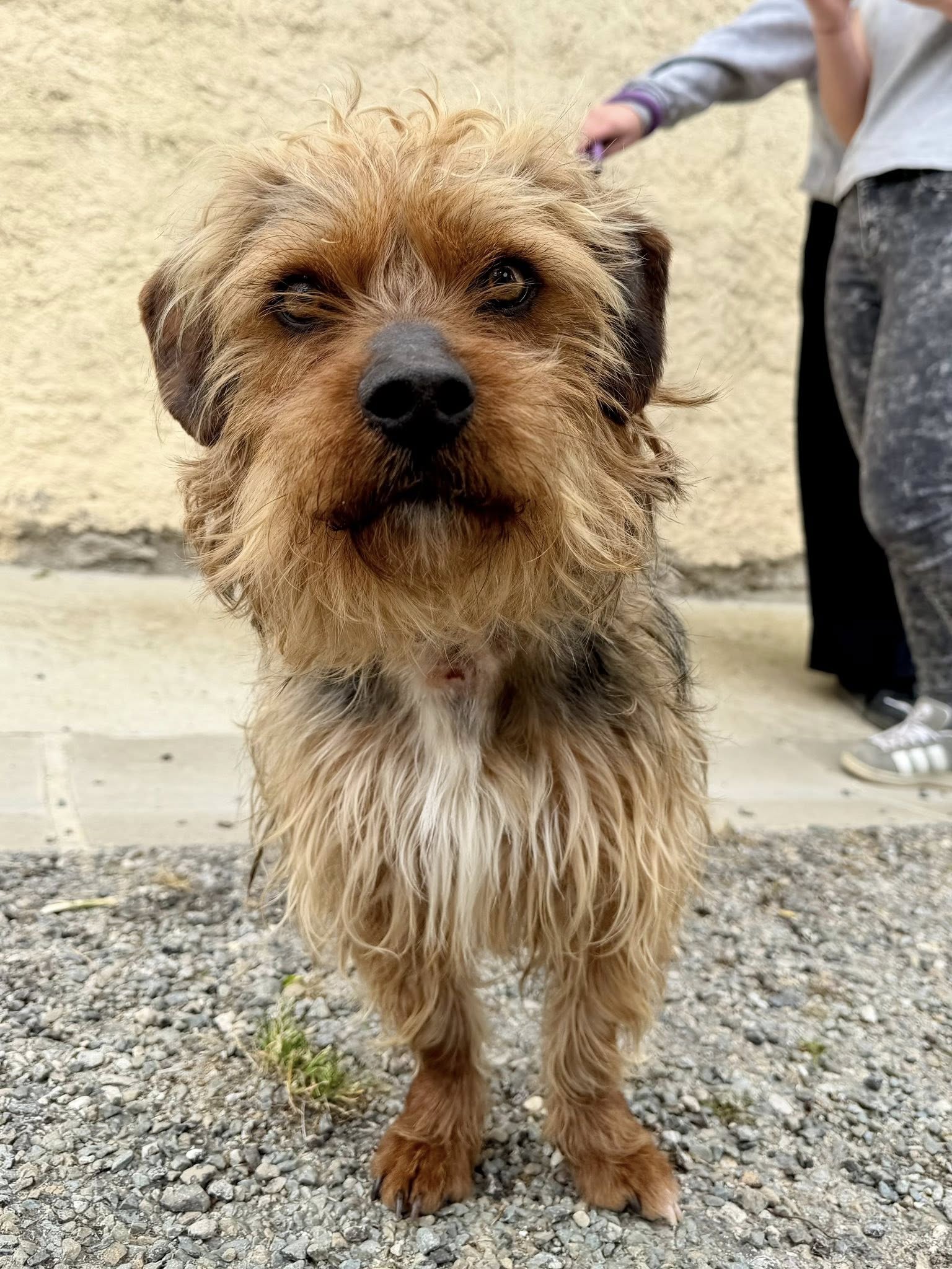 Lire la suite à propos de l’article Frimousse