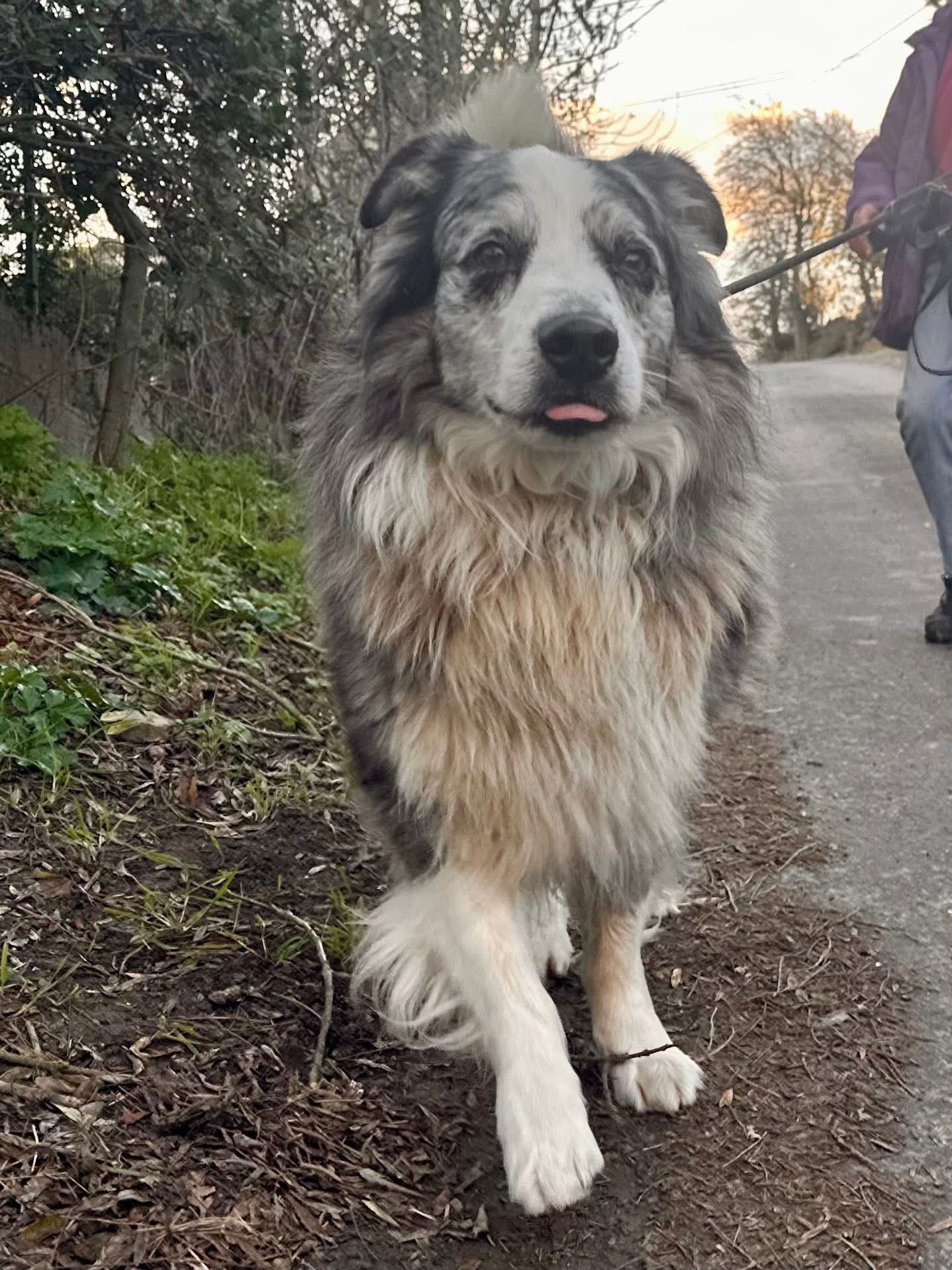 Lire la suite à propos de l’article Jouxy