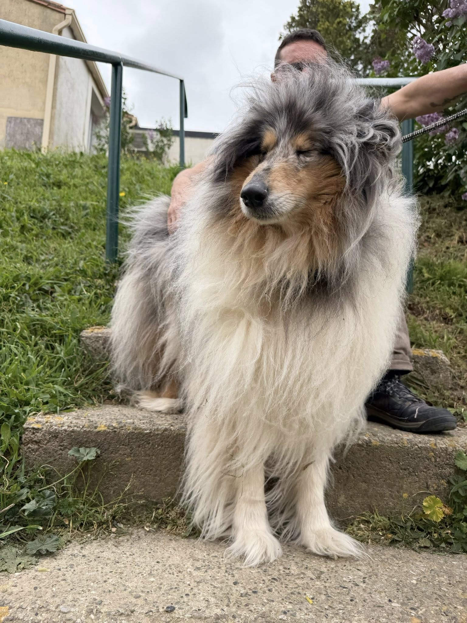 Lire la suite à propos de l’article Saxo