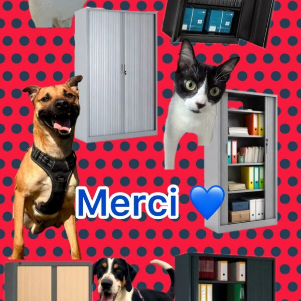 📢 Appel à la solidarité