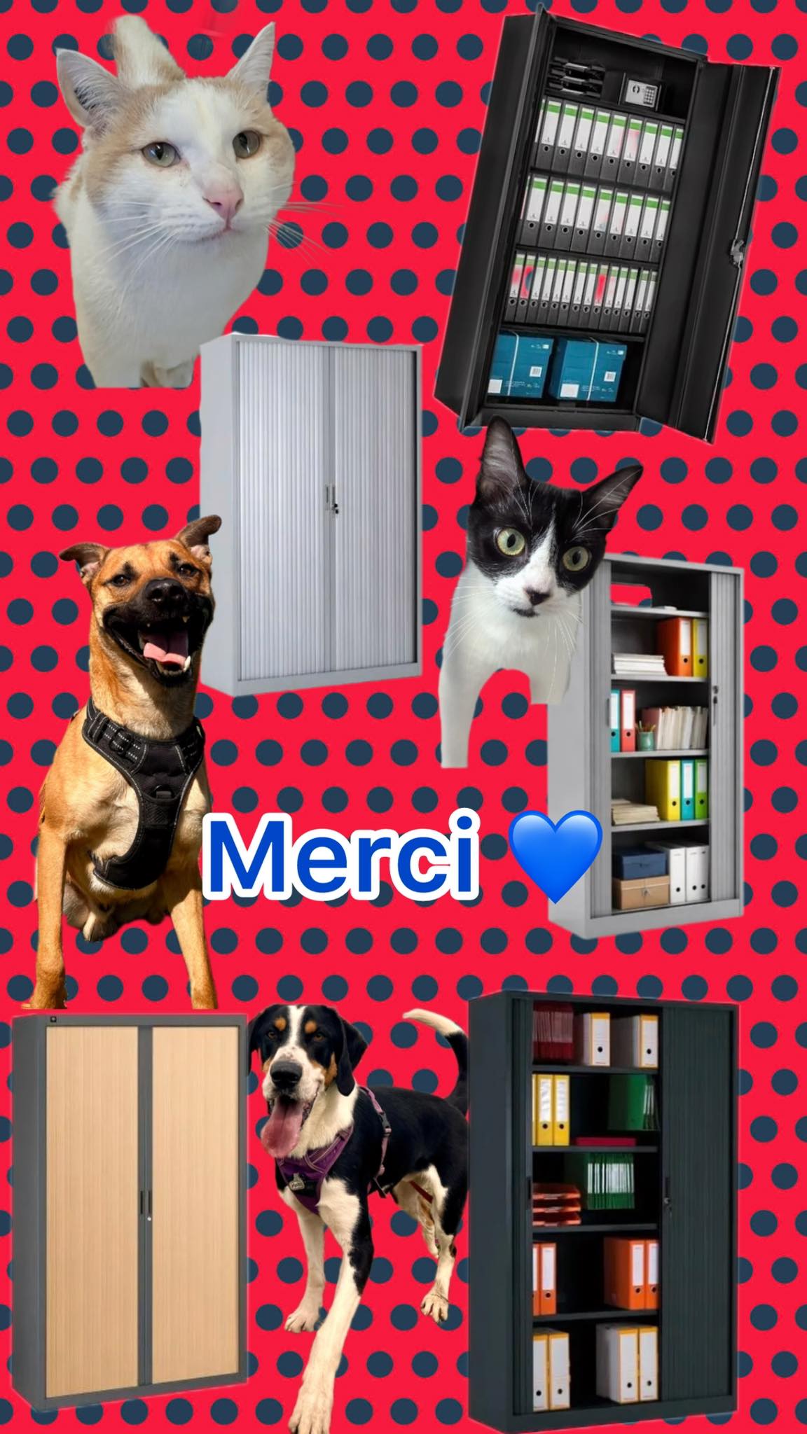 Lire la suite à propos de l’article 📢 Appel à la solidarité