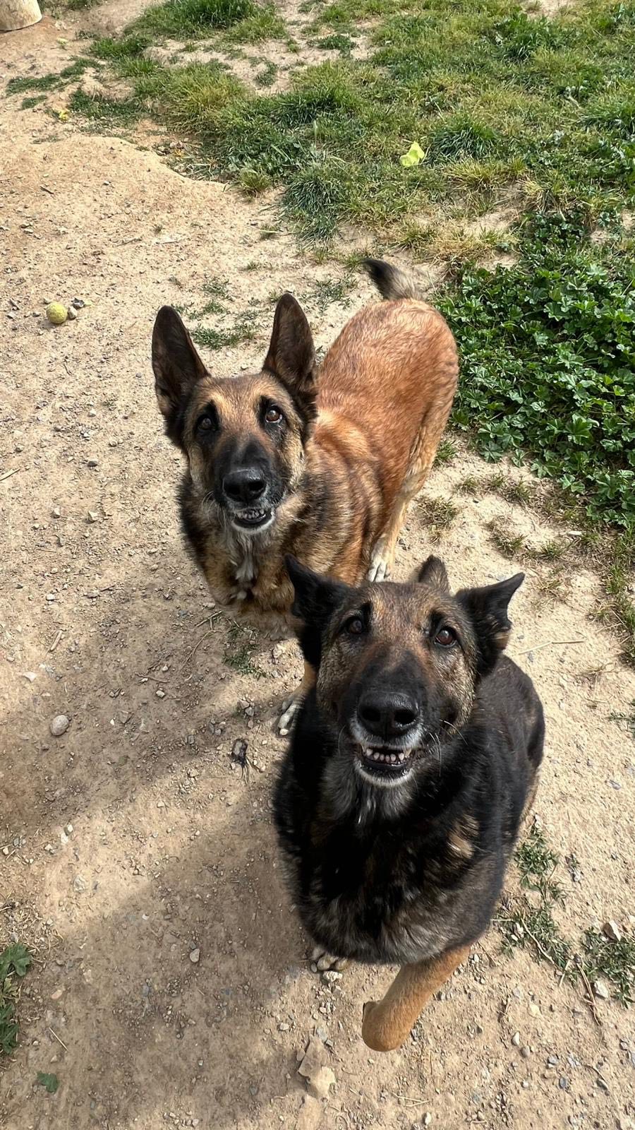 D et F 2