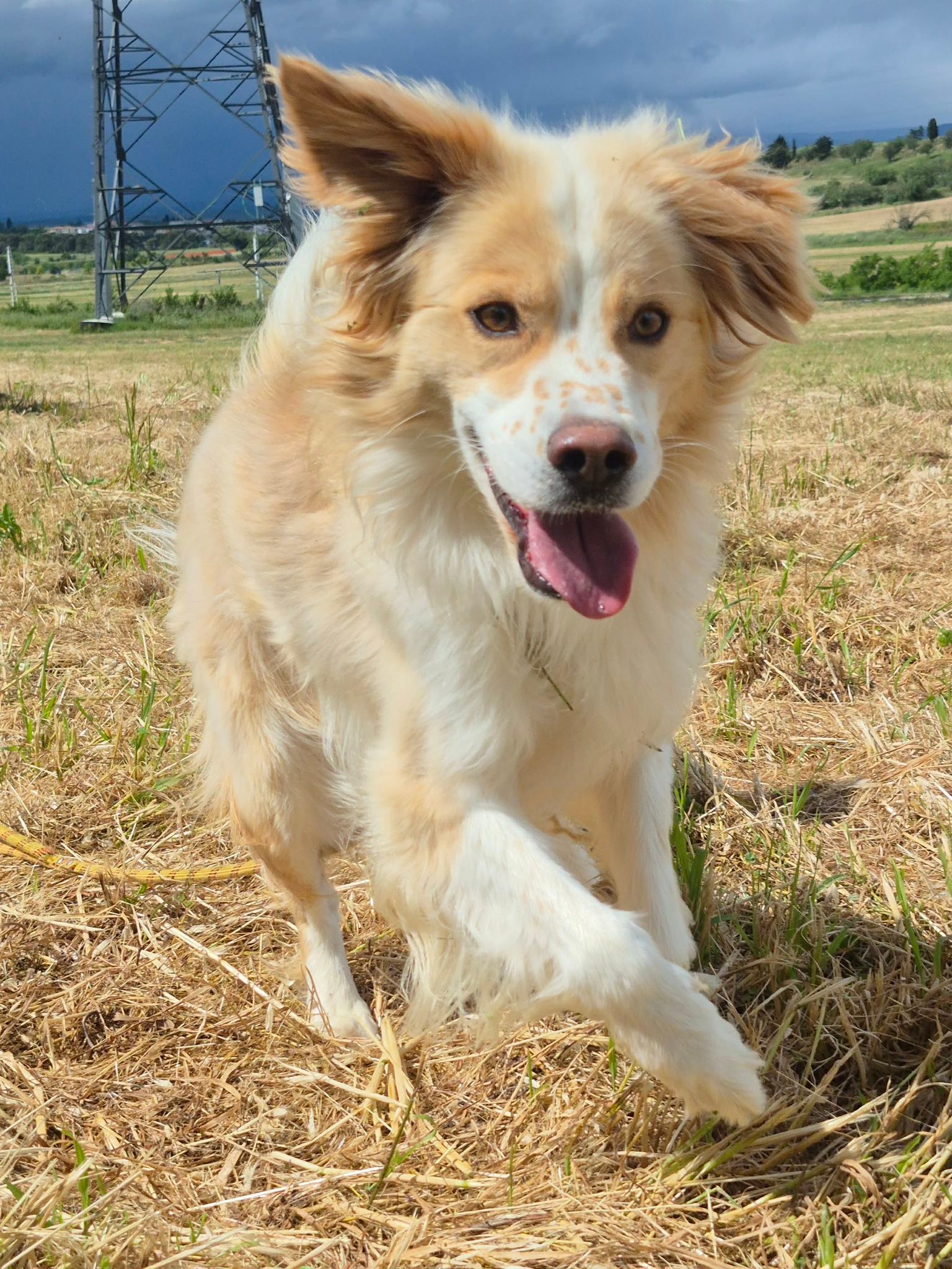 Hiro 1