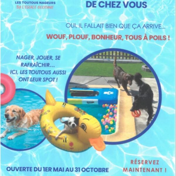 Un nouveau partenaire pour nos toutous nageurs