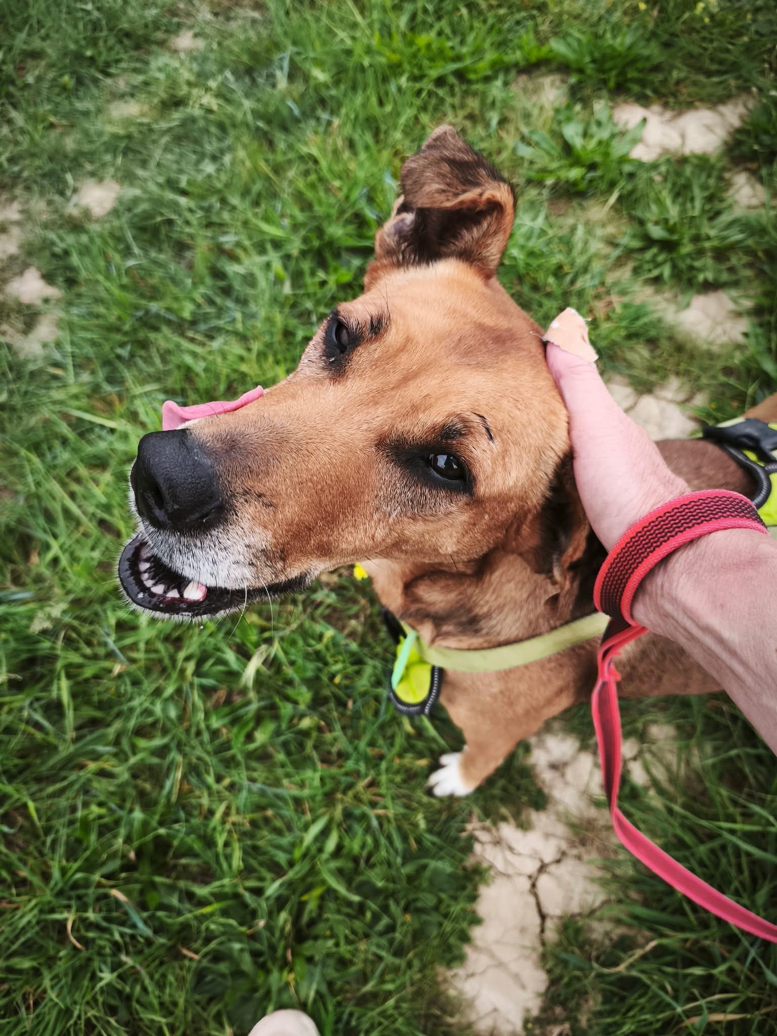 Lilou 2