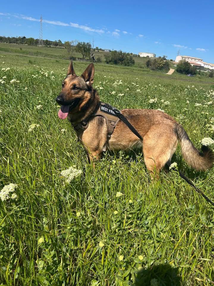 Tina